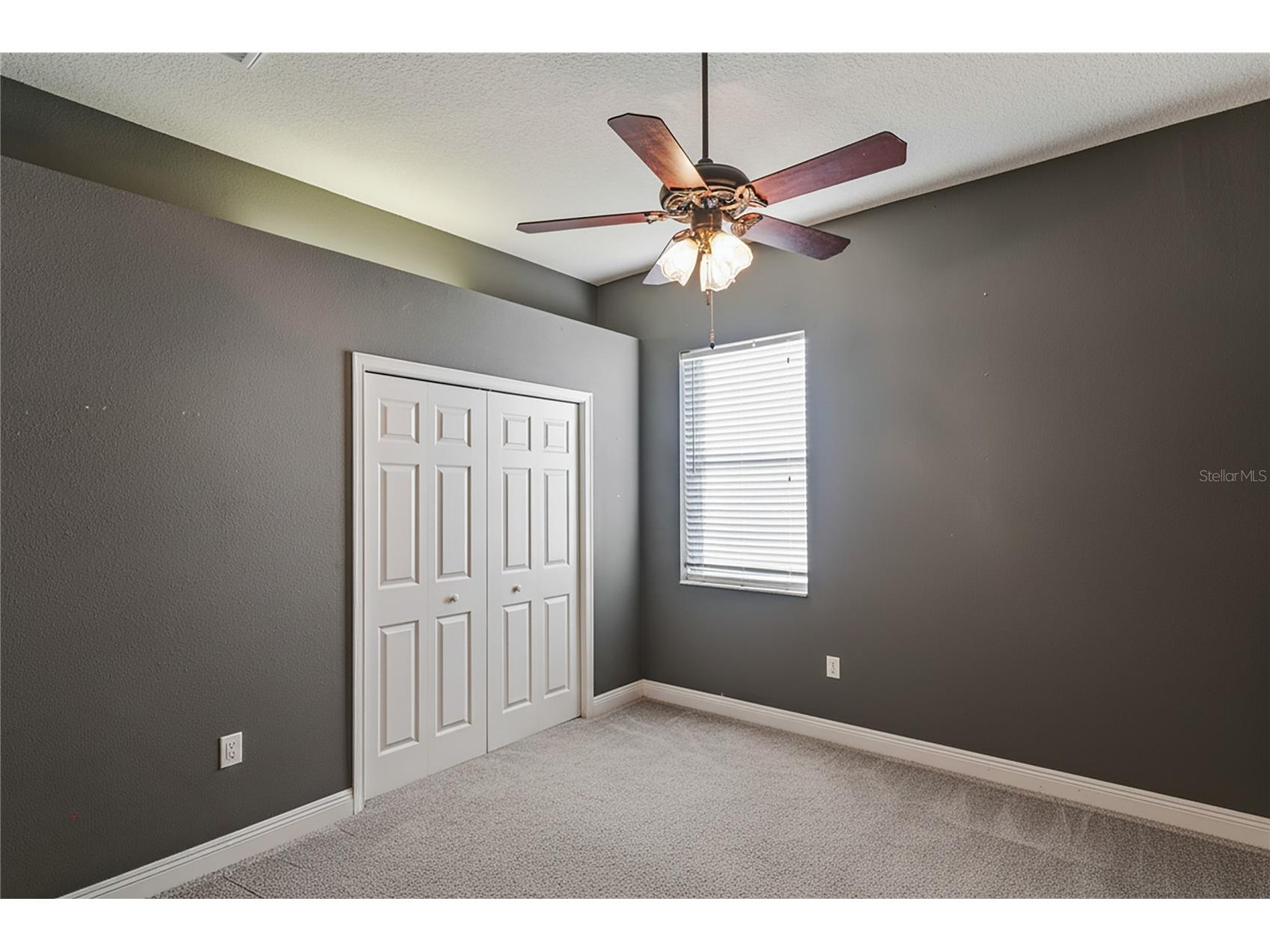 275 Planter Road Spring Hill FL 34606 W7882369 image45