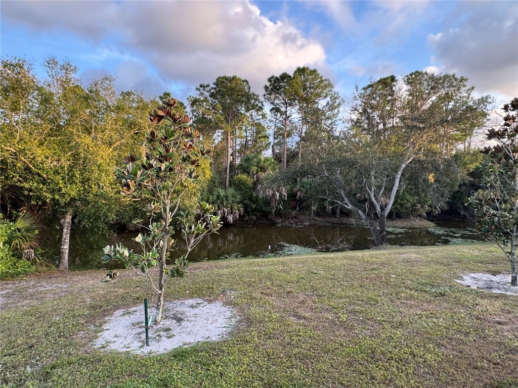 2750 Carolina Street North Port FL 34288 D6145068 image20