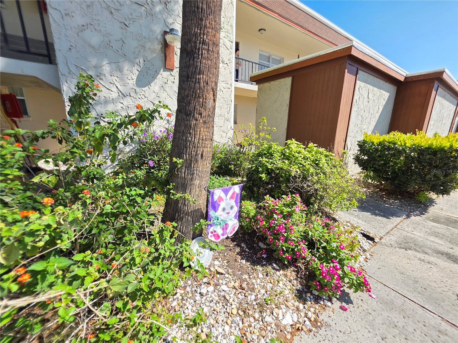 2750 E Bay Drive #10E Largo FL 33771 TB8491680 image36