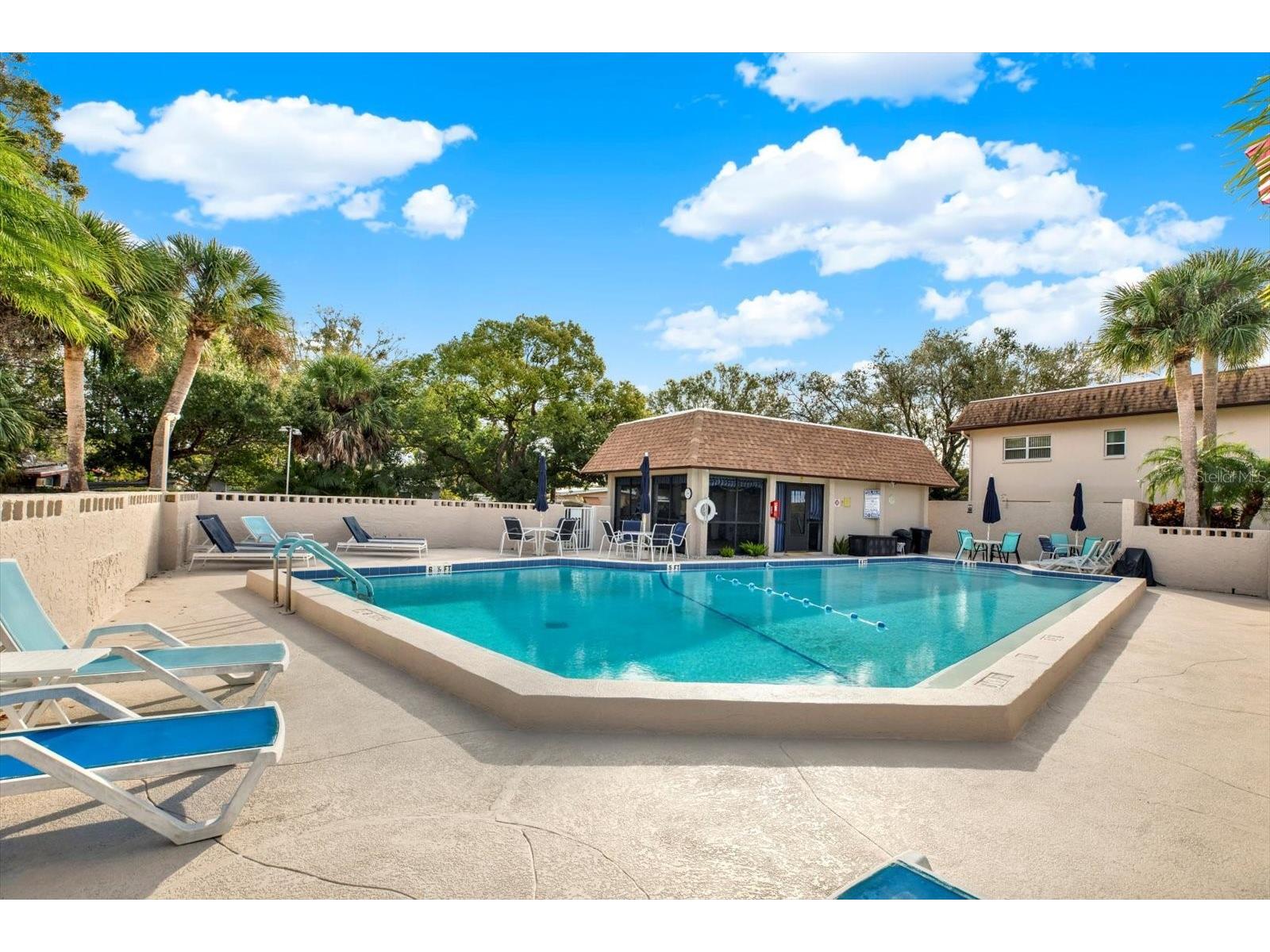2750 E Bay Drive #12E Largo FL 33771 TB8463951 image28
