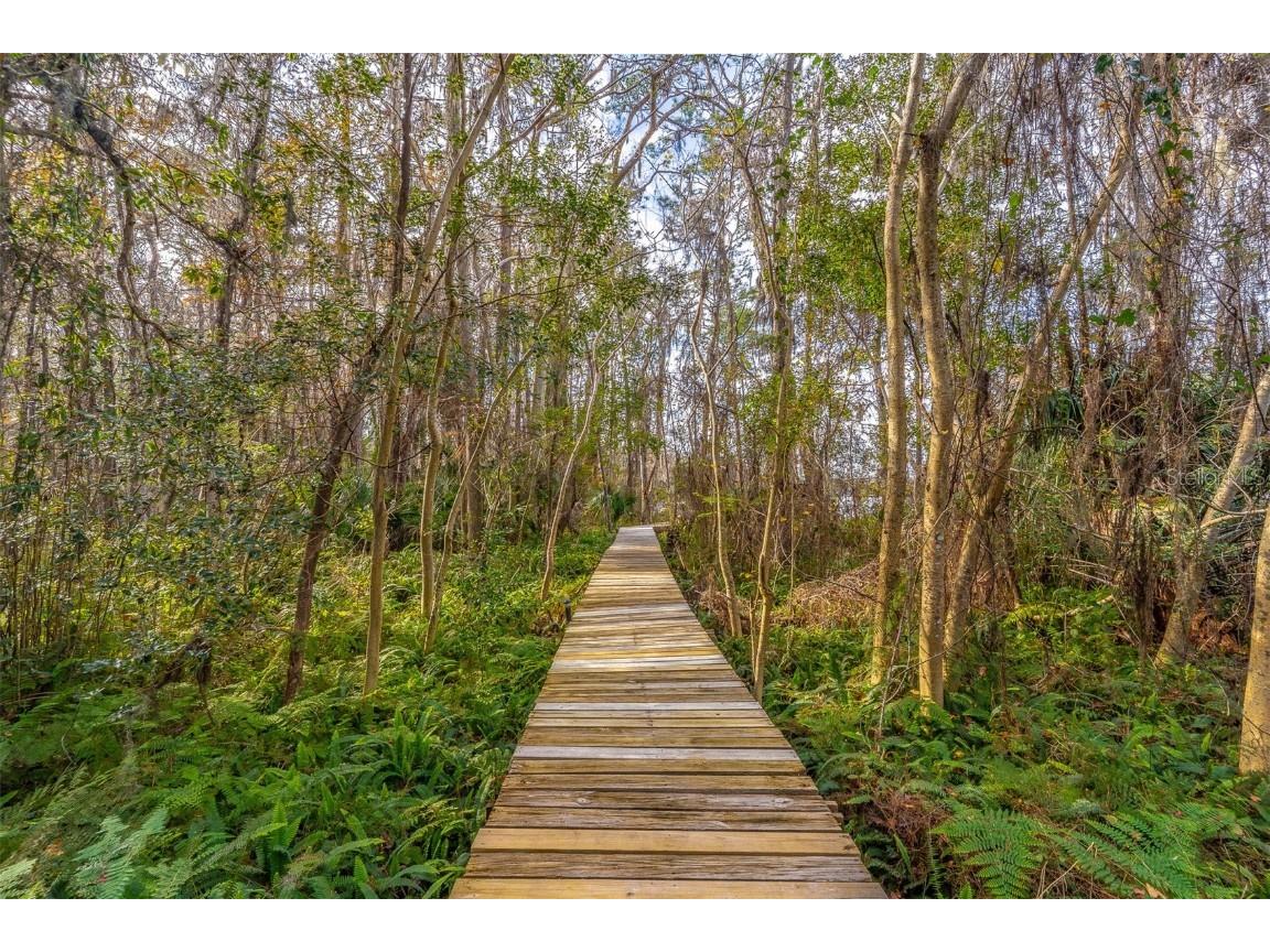 2750 Lee Shore Loop Orlando FL 32820 - CORNER LAKE O6369687 image62