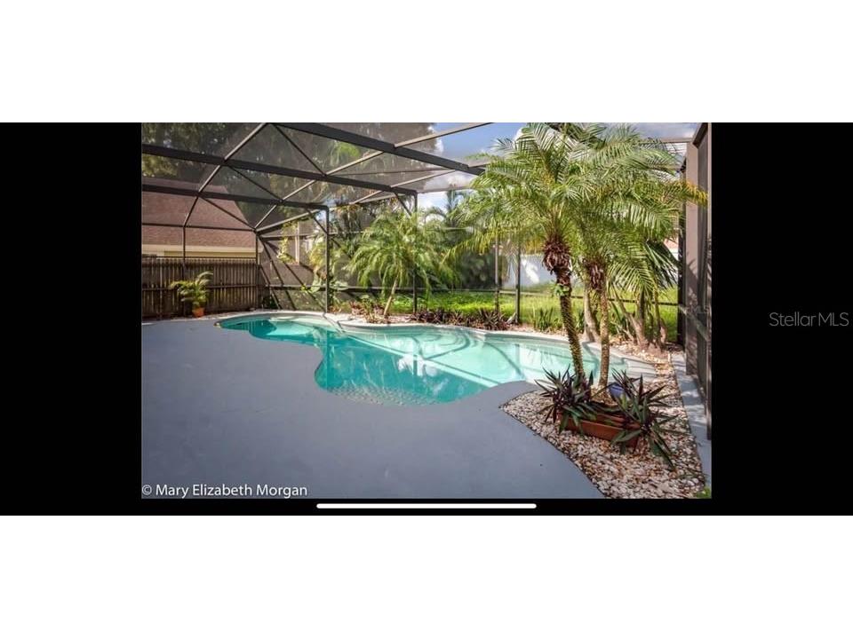 2750 Mystic Cove Drive Orlando FL 32812 O6340159 image21