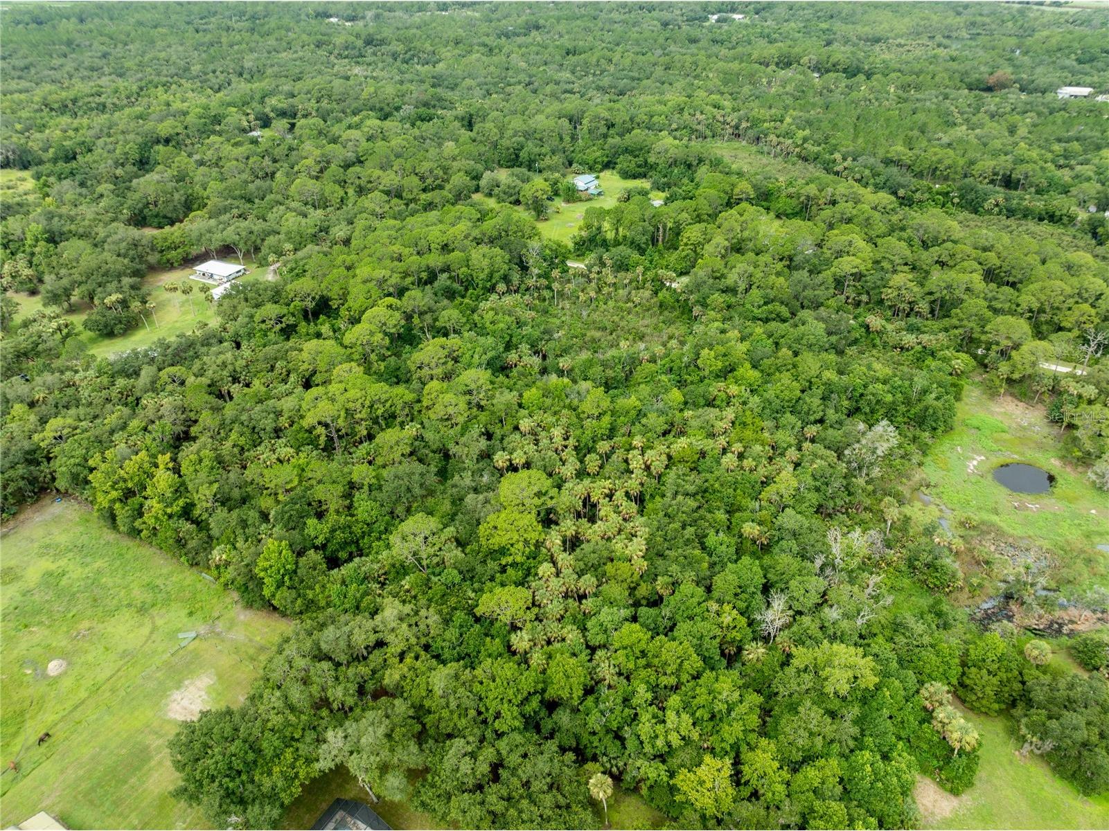 2750 Perch Road Geneva FL 32732 O6419008 image10