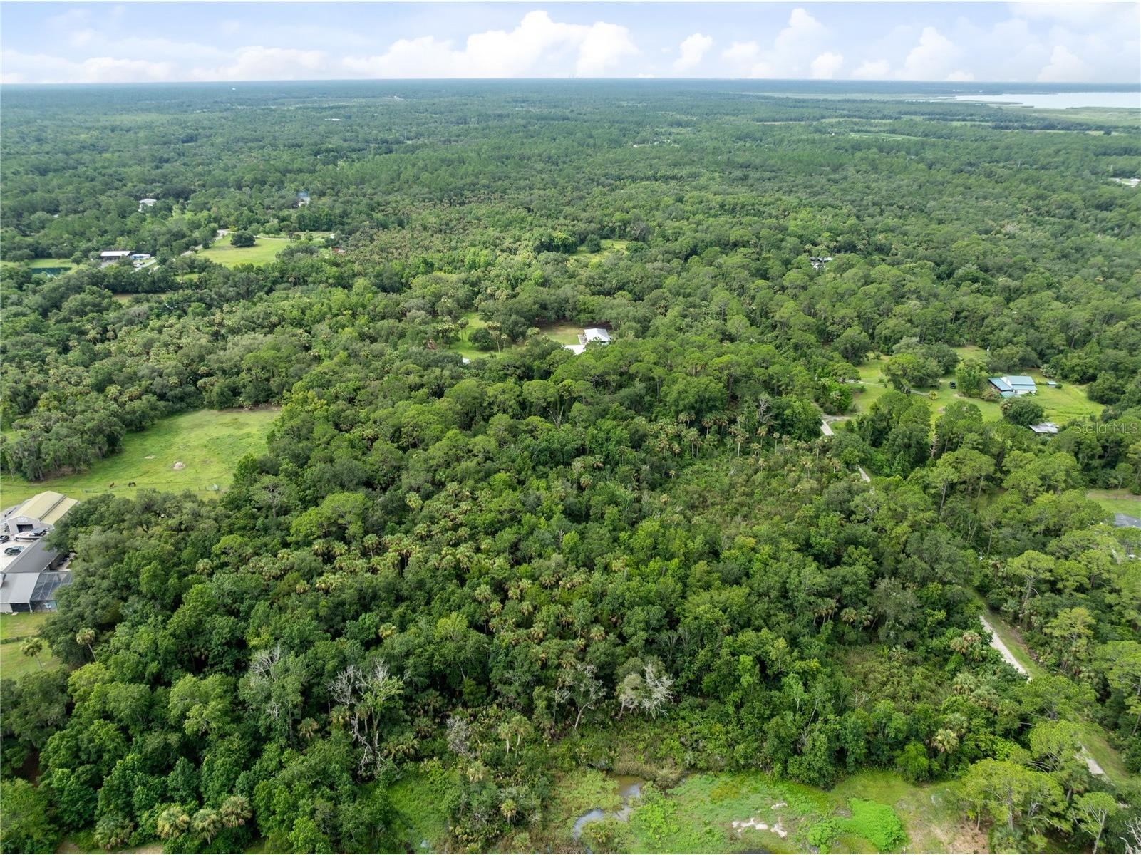 2750 Perch Road Geneva FL 32732 O6419008 image12