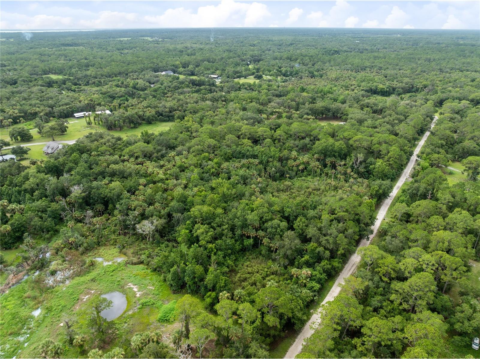 2750 Perch Road Geneva FL 32732 O6419008 image14