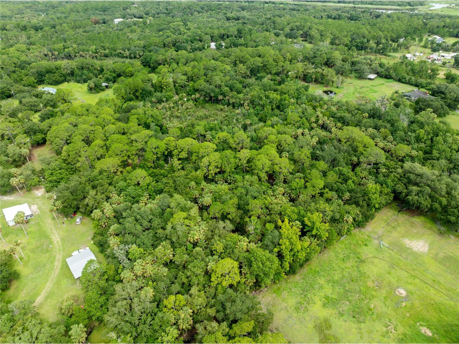 2750 Perch Road Geneva FL 32732 O6419008 image3