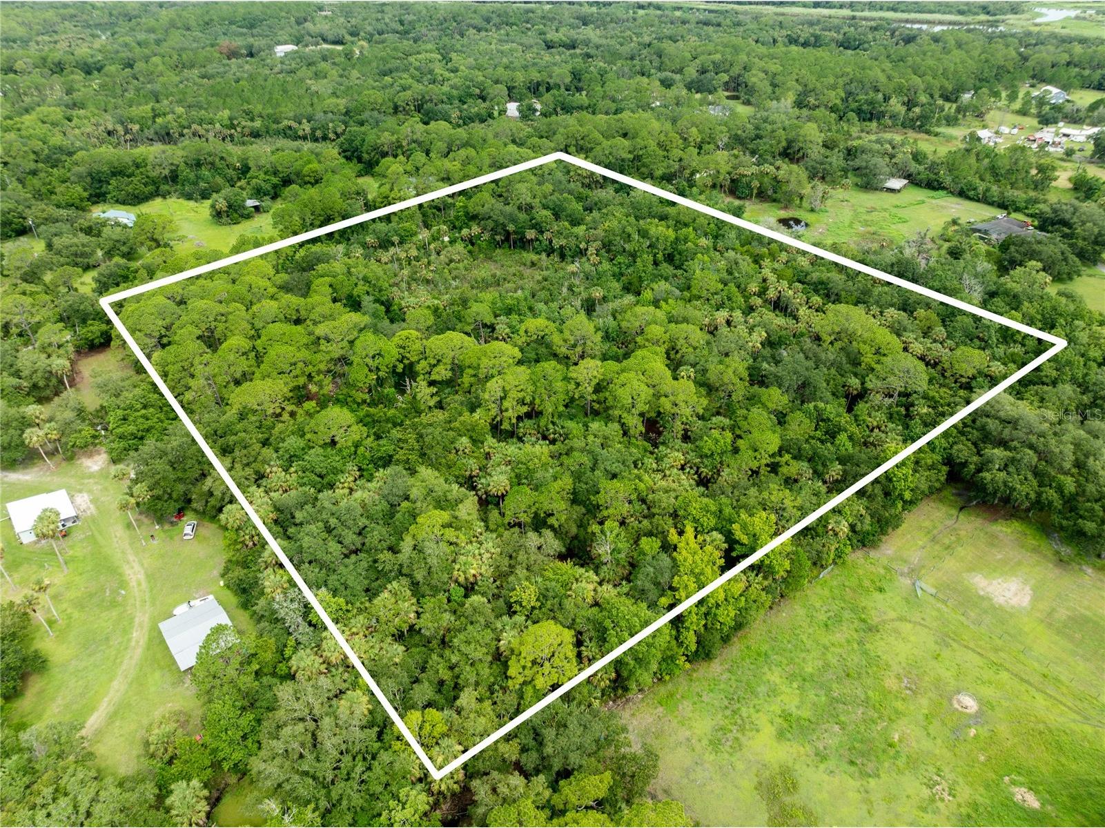 2750 Perch Road Geneva FL 32732 O6419008 image4