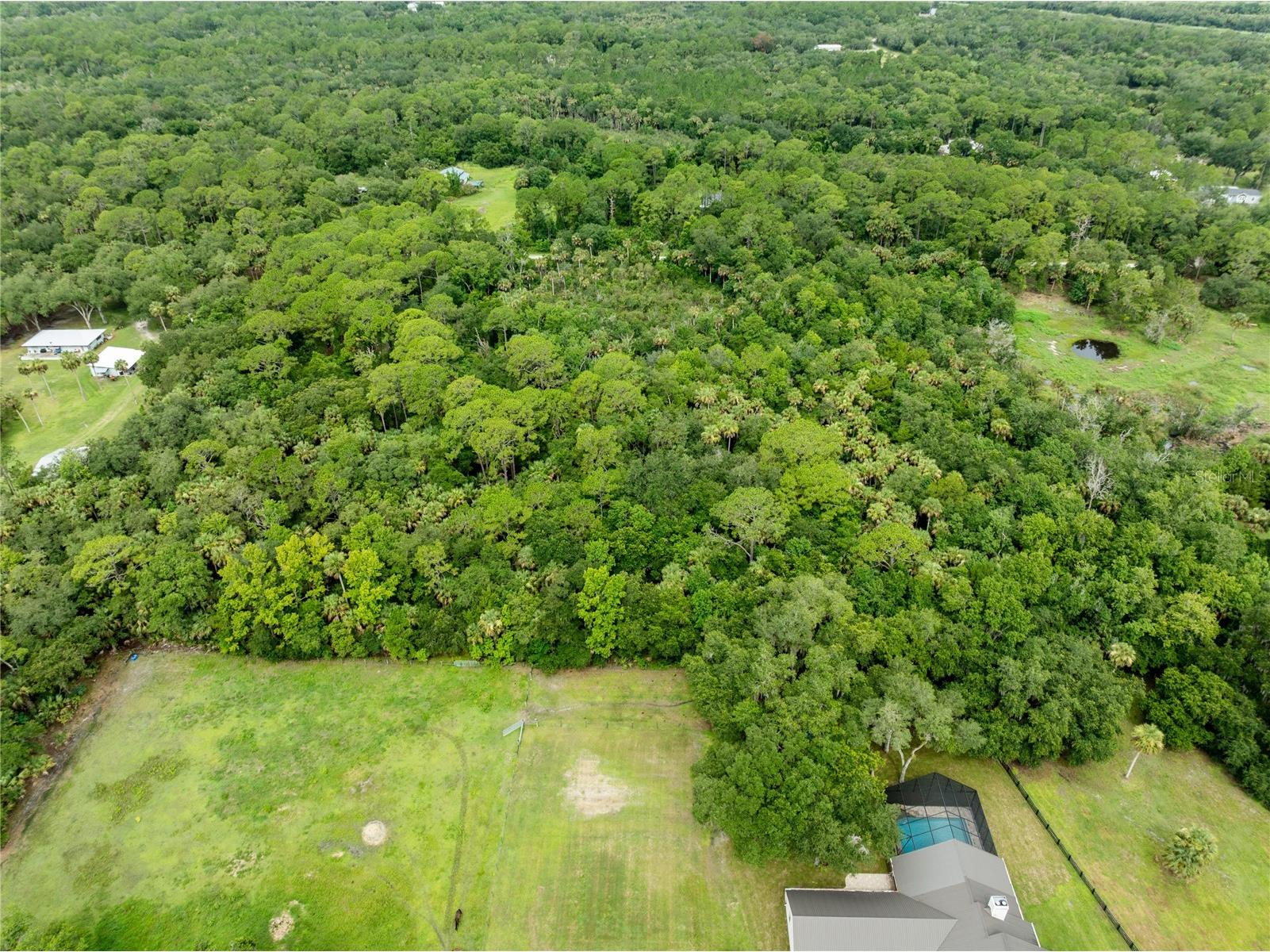 2750 Perch Road Geneva FL 32732 O6419008 image7