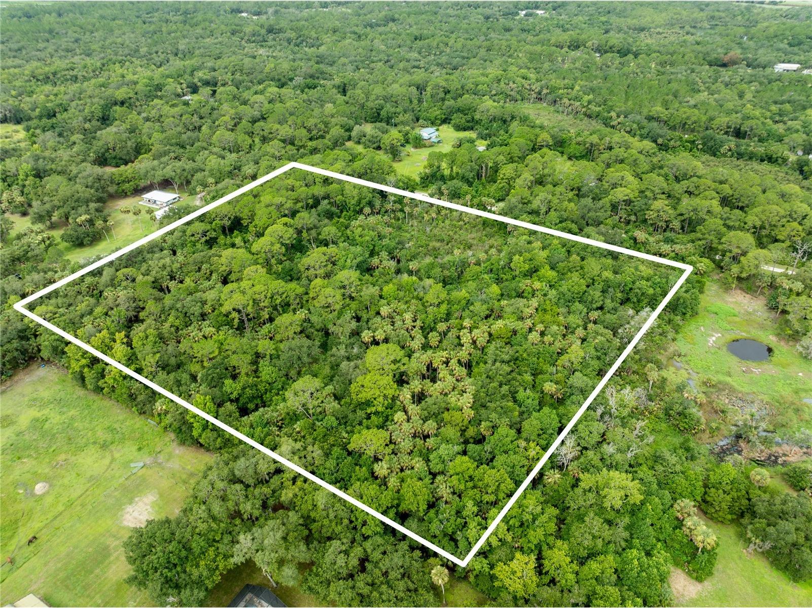 2750 Perch Road Geneva FL 32732 O6419008 image9