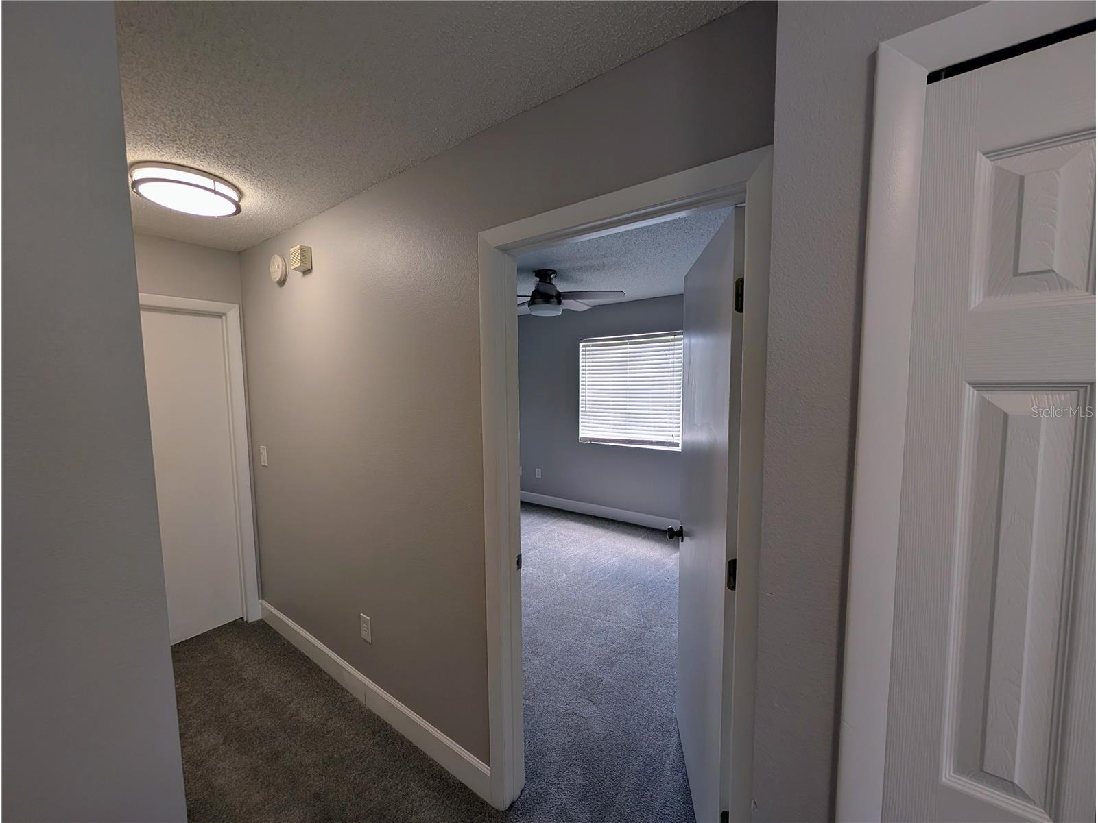 27506 Waikiki Court Wesley Chapel FL 33544 TB8521116 image47