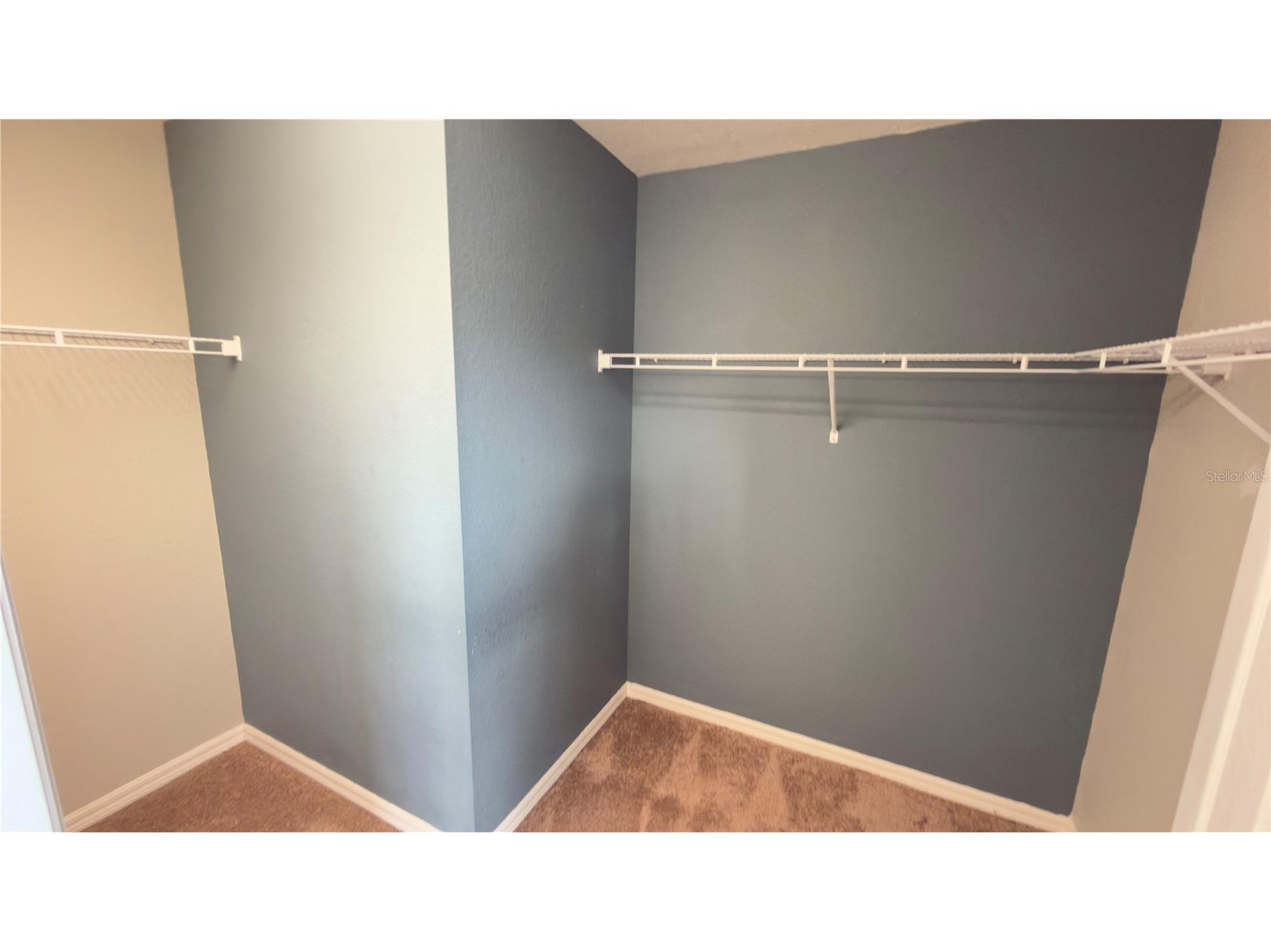 27507 Desert Willow Way Wesley Chapel FL 33544 TB8496847 image14