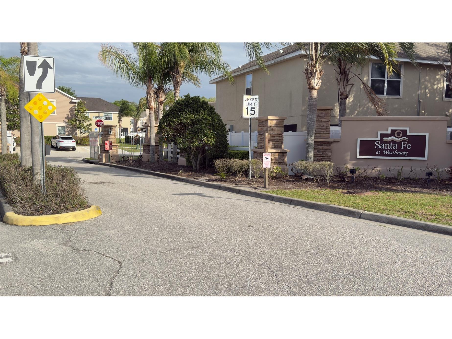 27507 Desert Willow Way Wesley Chapel FL 33544 TB8496847 image23