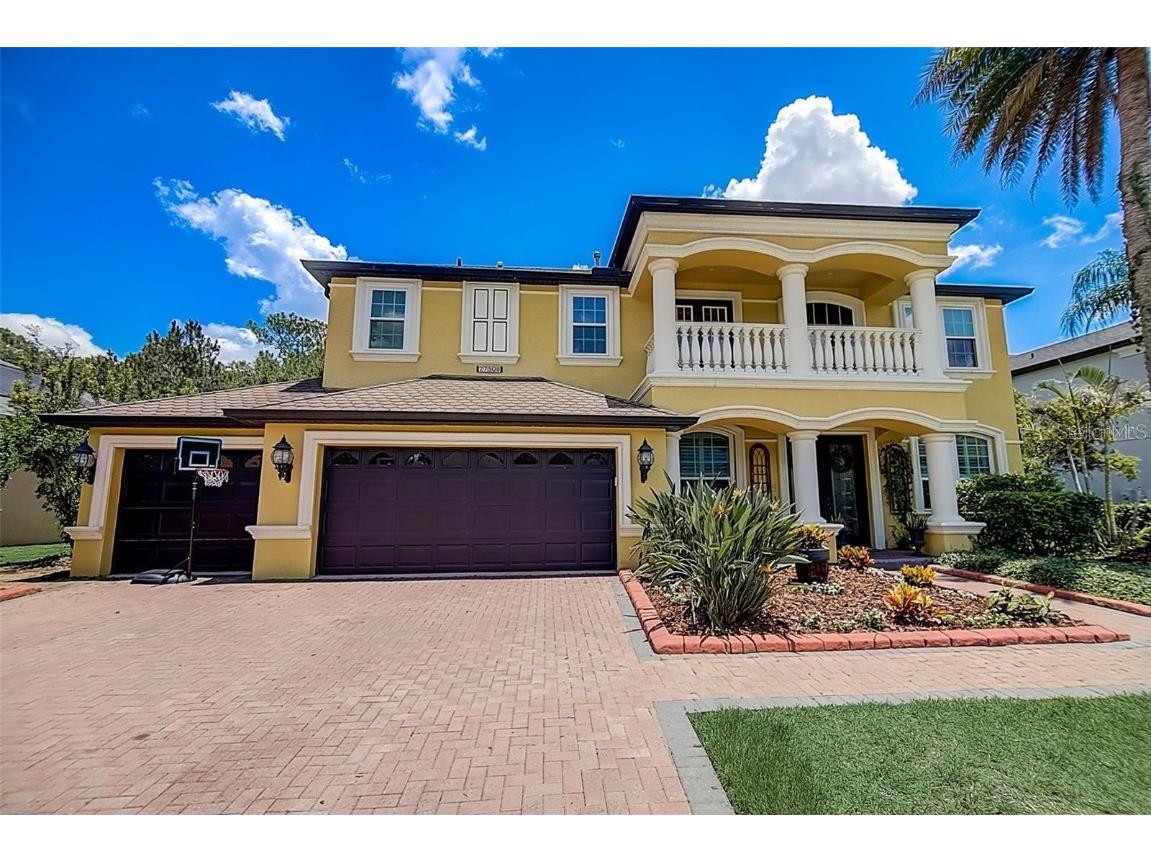 27508 Pine Point Drive Wesley Chapel FL 33544 T3513799 image1