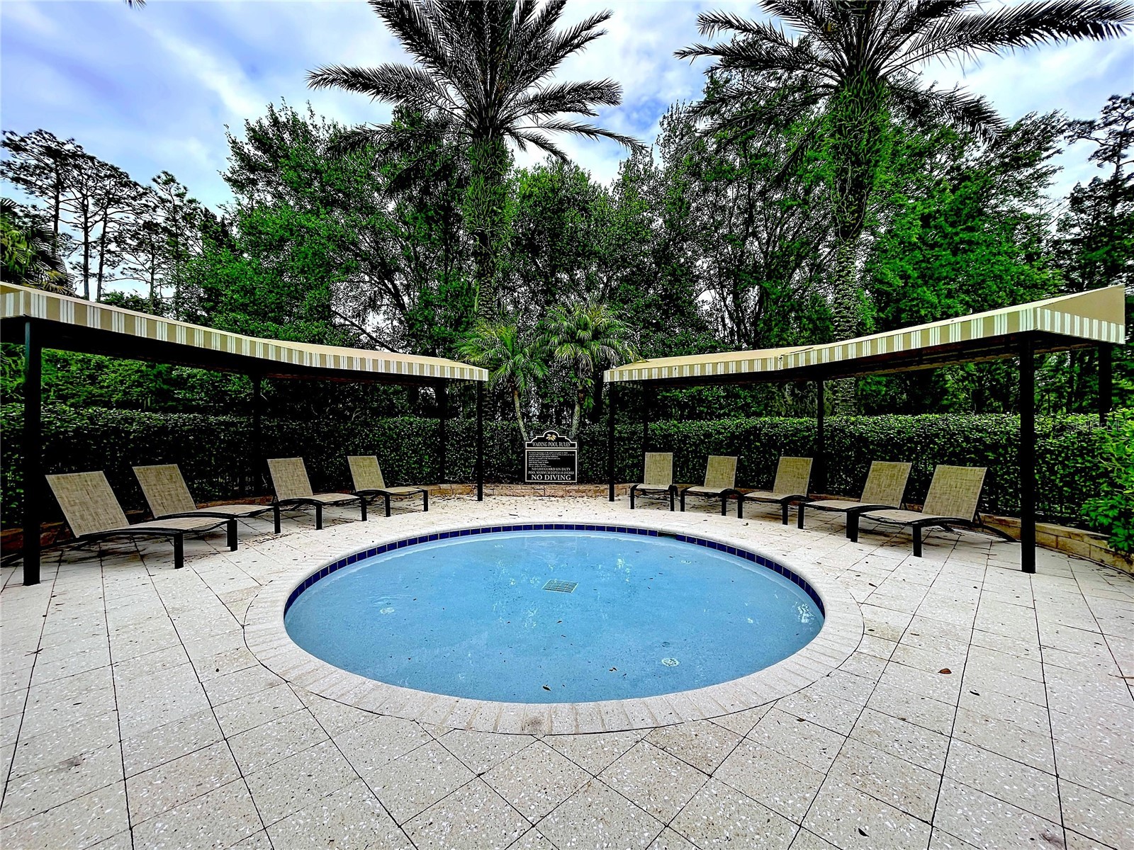 27509 Edenfield Drive Wesley Chapel FL 33544 W7884638 image39