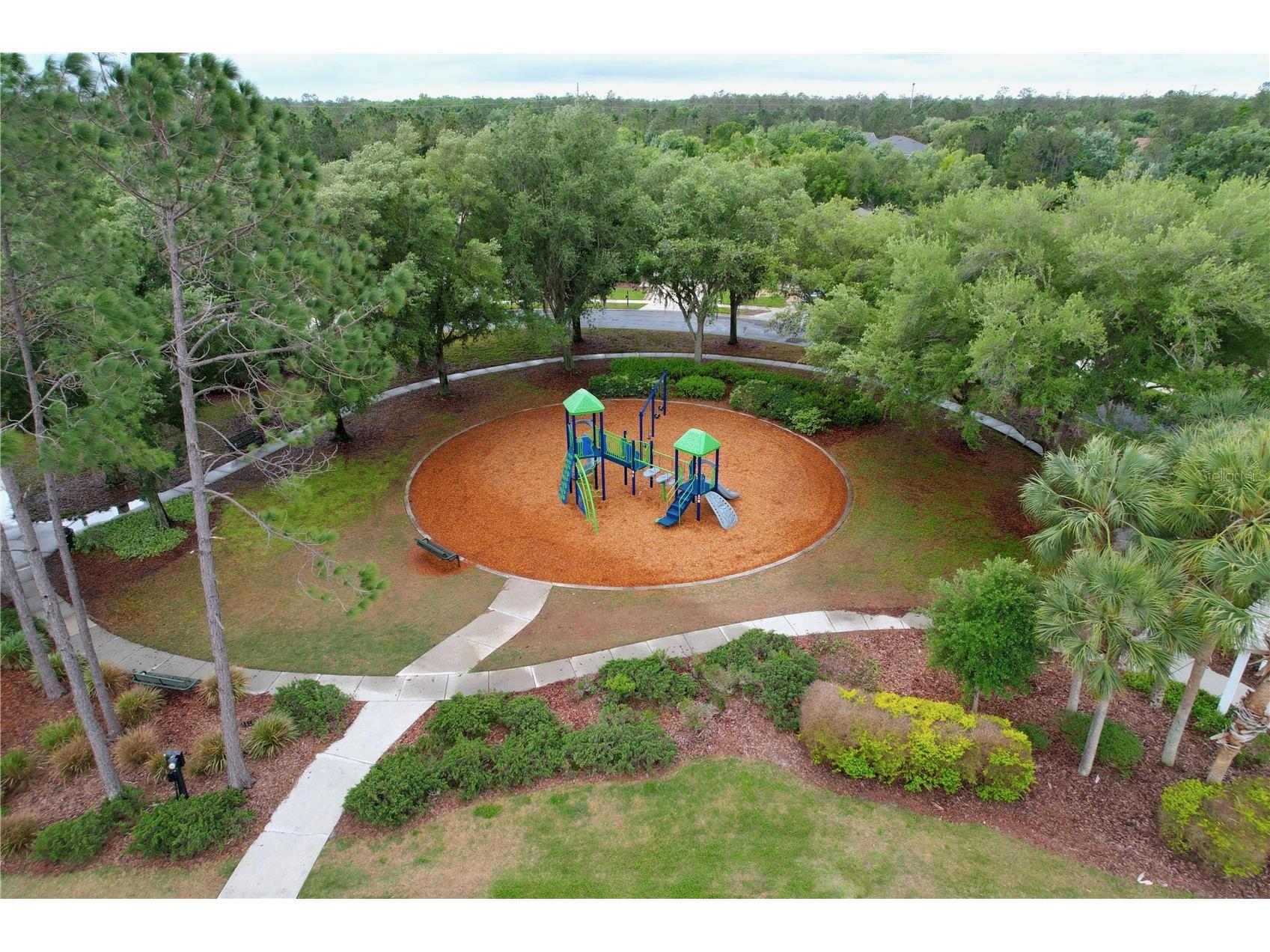 27509 Edenfield Drive Wesley Chapel FL 33544 W7884638 image47