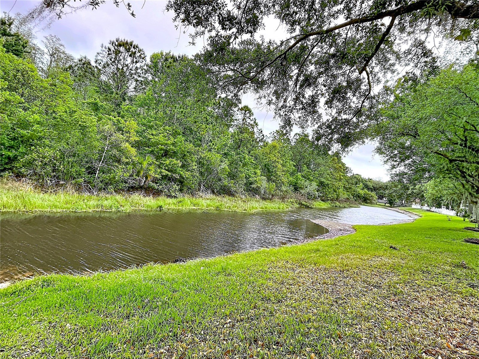 27509 Edenfield Drive Wesley Chapel FL 33544 W7884638 image53