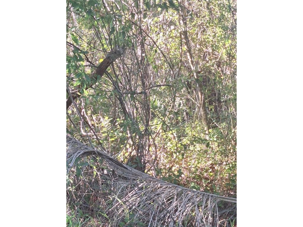 2751 Kingsdale Drive Deltona FL 32738 V4944117 image2