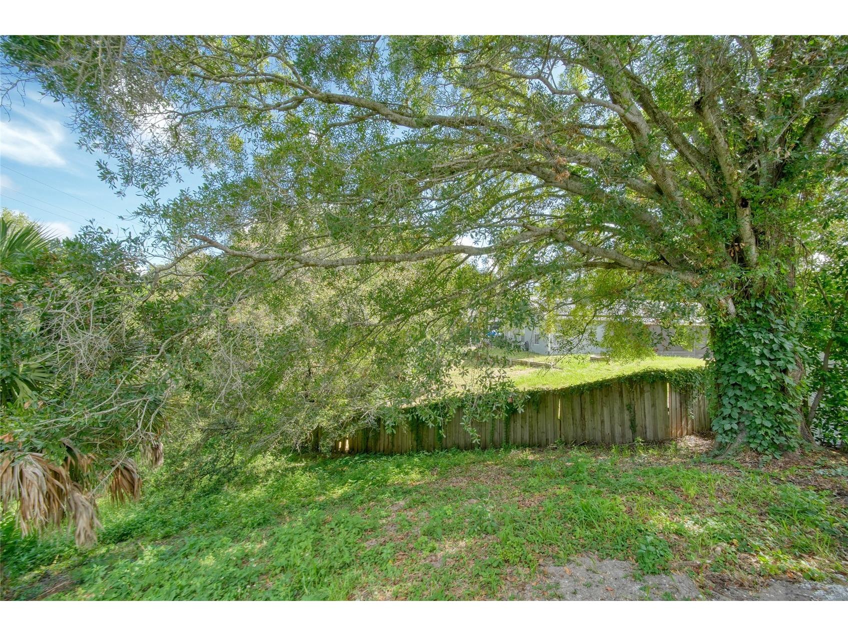 2751 Wilson Court Palm Harbor FL 34684 TB8511417 image18
