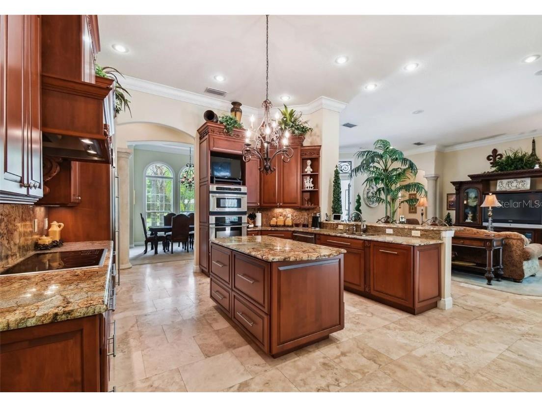 27511 Hialeah Way Wesley Chapel FL 33544 TB8392921 image26