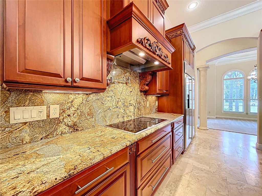 27511 Hialeah Way Wesley Chapel FL 33544 TB8392921 image28