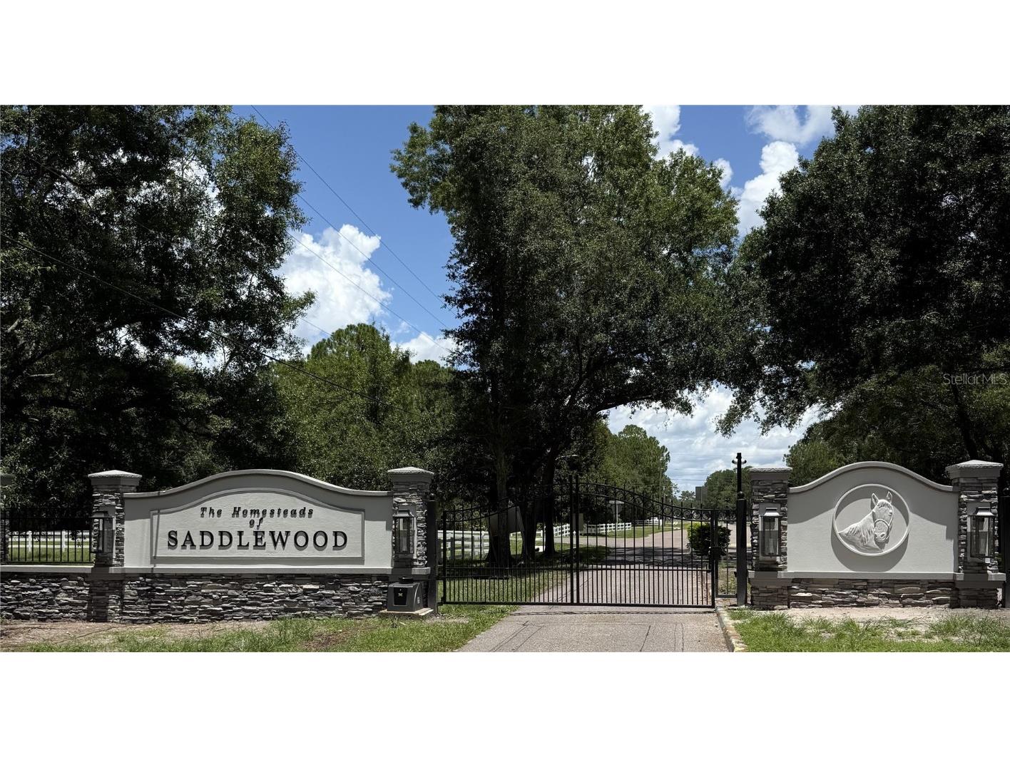 27511 Hialeah Way Wesley Chapel FL 33544 TB8392921 image3