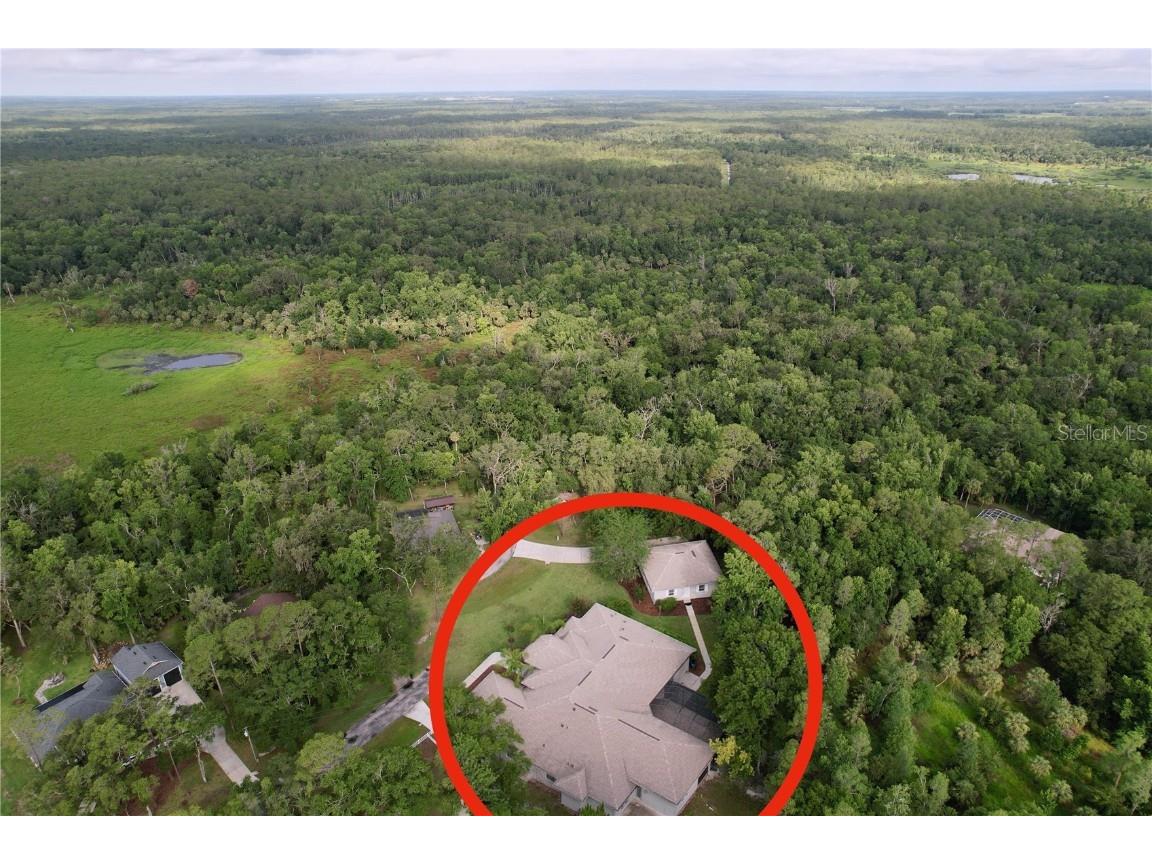 27511 Hialeah Way Wesley Chapel FL 33544 TB8392921 image4