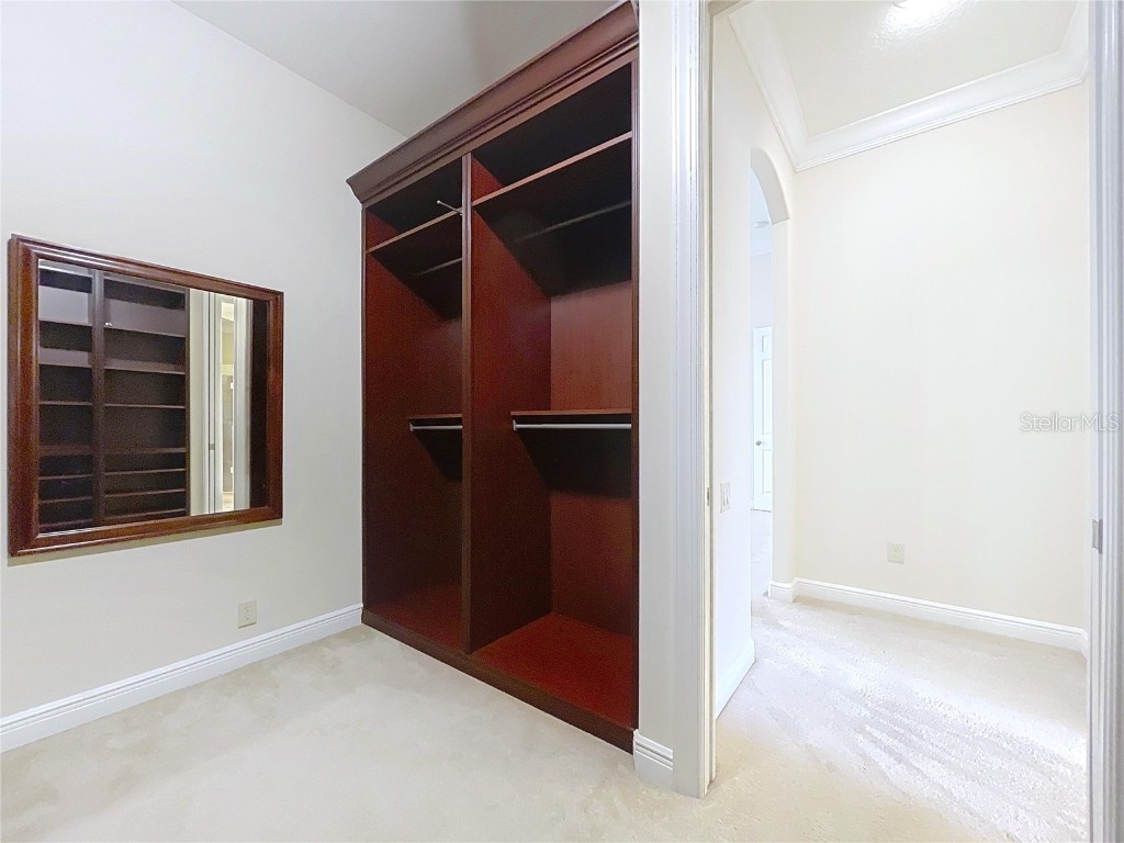 27511 Hialeah Way Wesley Chapel FL 33544 TB8392921 image41