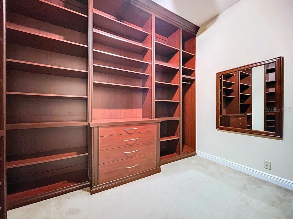 27511 Hialeah Way Wesley Chapel FL 33544 TB8392921 image42