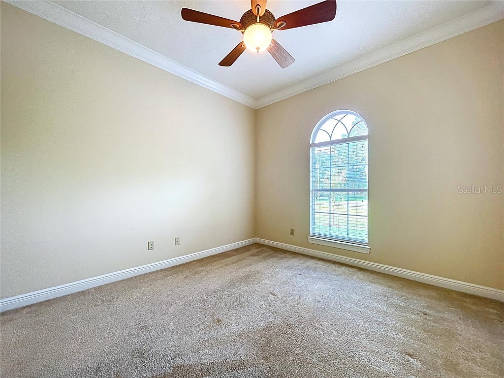 27511 Hialeah Way Wesley Chapel FL 33544 TB8392921 image45