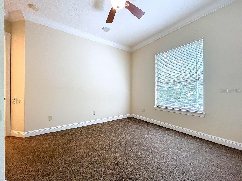 27511 Hialeah Way Wesley Chapel FL 33544 TB8392921 image57