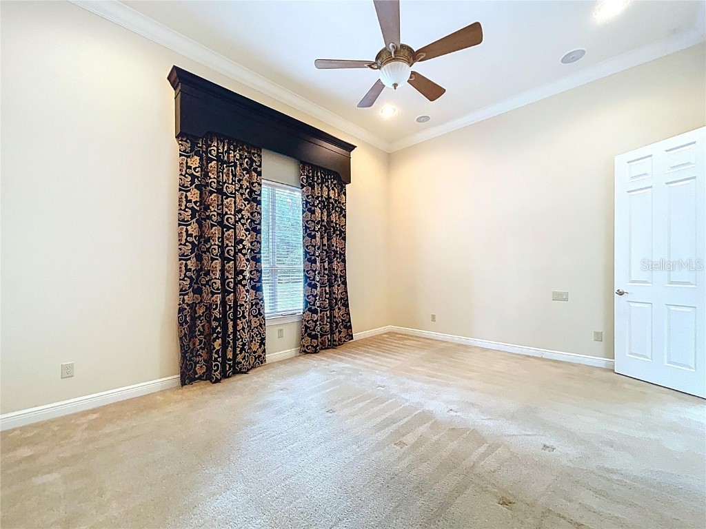 27511 Hialeah Way Wesley Chapel FL 33544 TB8392921 image66