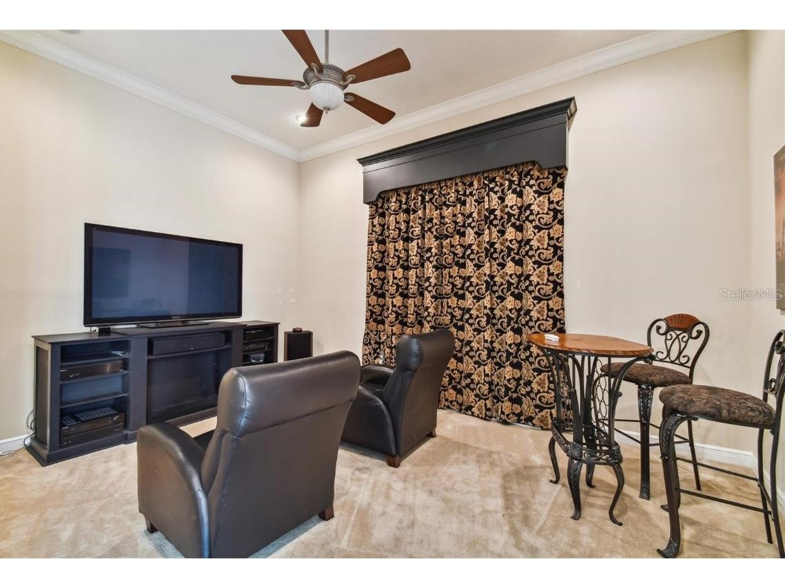 27511 Hialeah Way Wesley Chapel FL 33544 TB8392921 image67