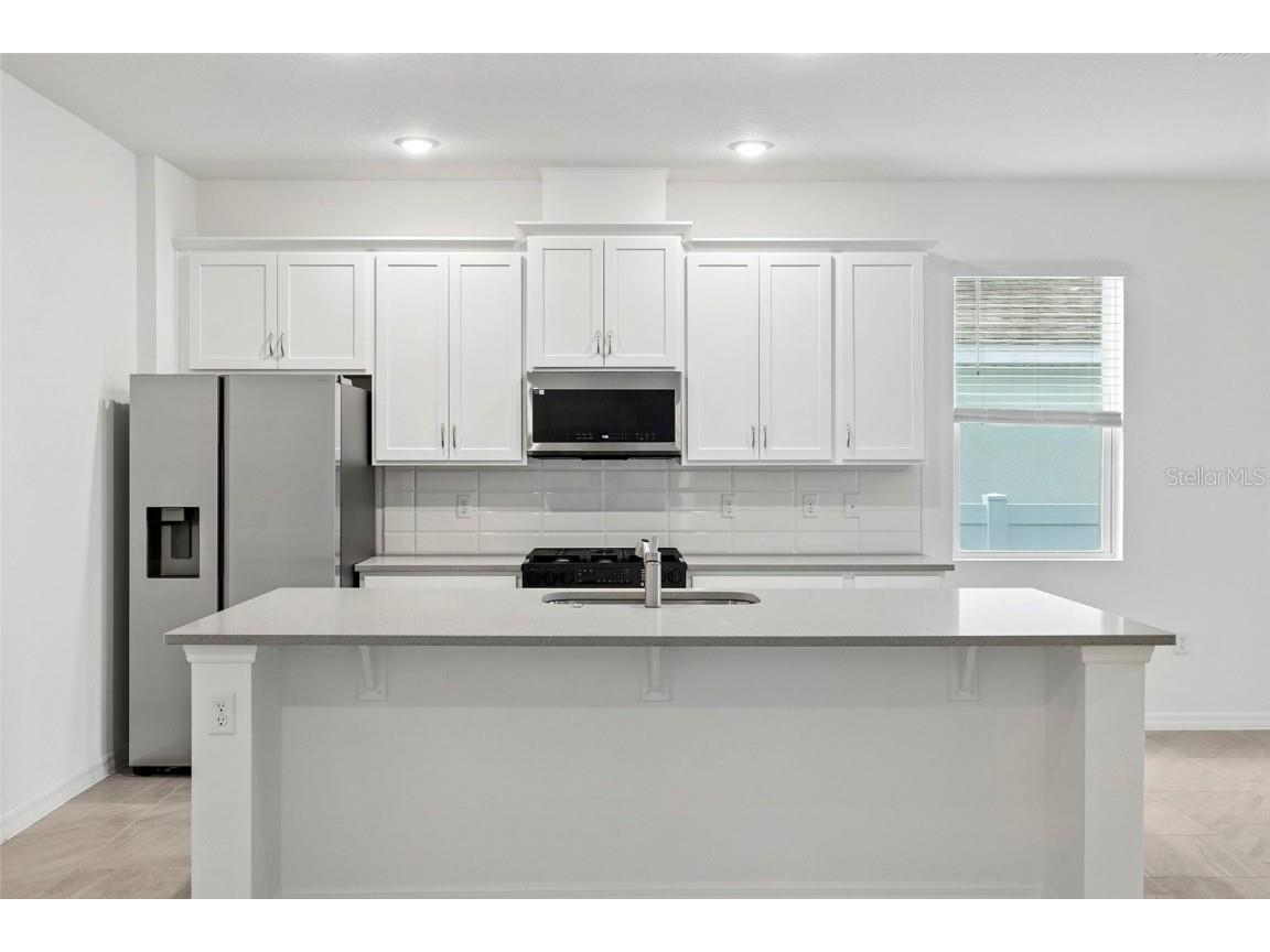 27517 Stellar Sea Way Howey In The Hills FL 34737 O6346076 image3