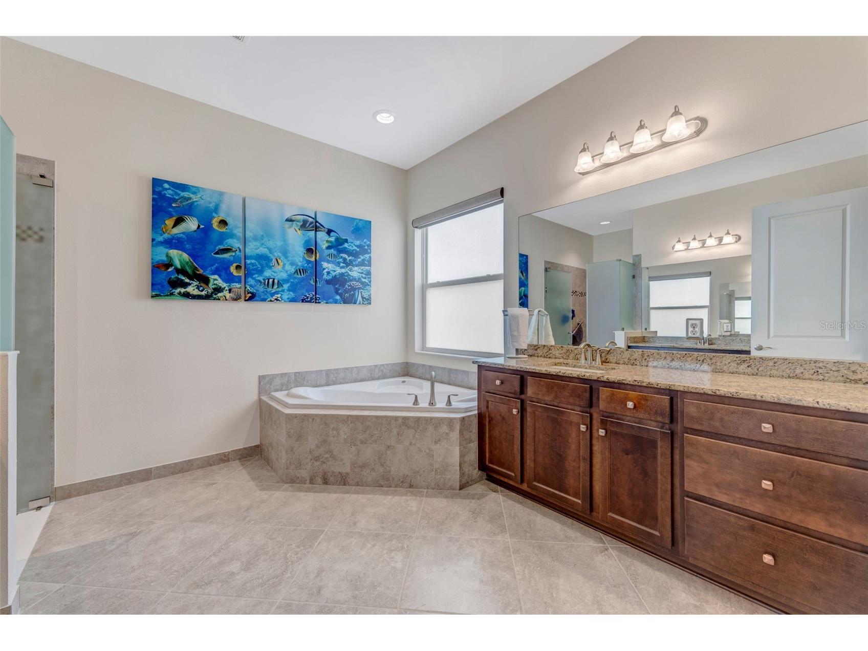 2752 Coco Palm Circle Wesley Chapel FL 33543 TB8492406 image35