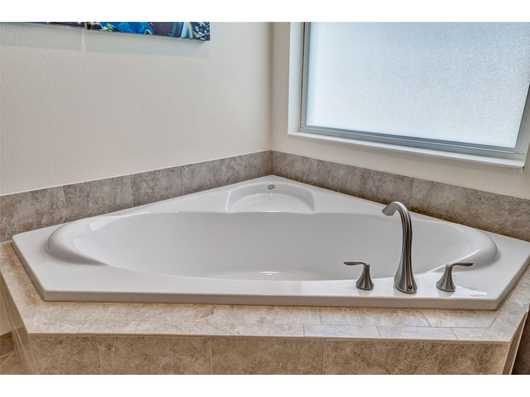 2752 Coco Palm Circle Wesley Chapel FL 33543 TB8492406 image36