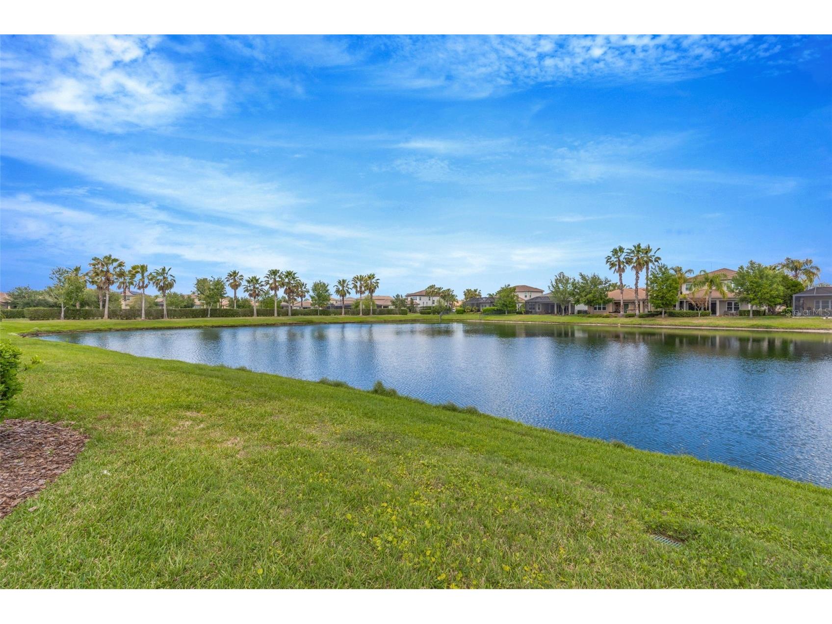 2752 Coco Palm Circle Wesley Chapel FL 33543 TB8492406 image63