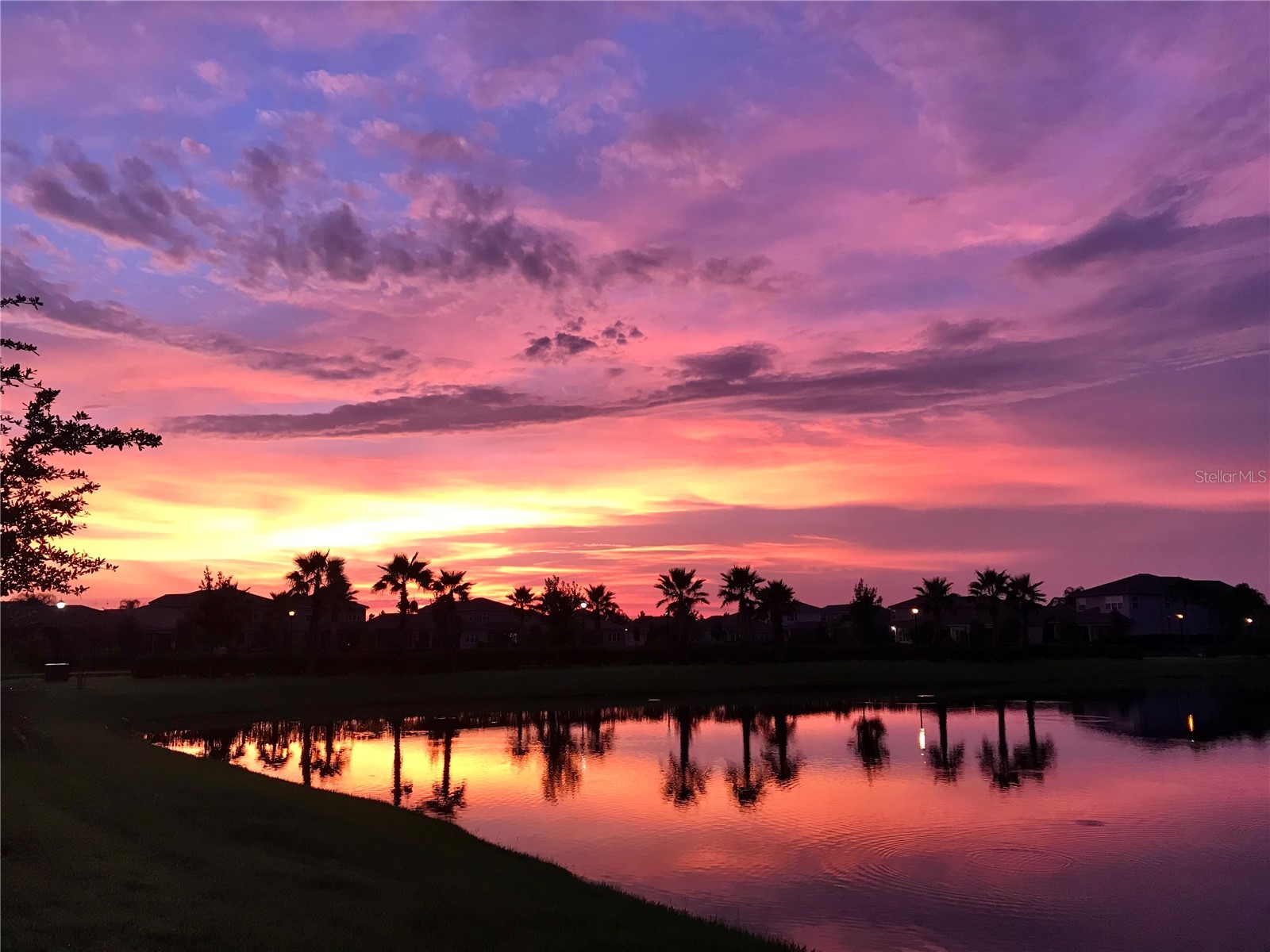 2752 Coco Palm Circle Wesley Chapel FL 33543 TB8492406 image64