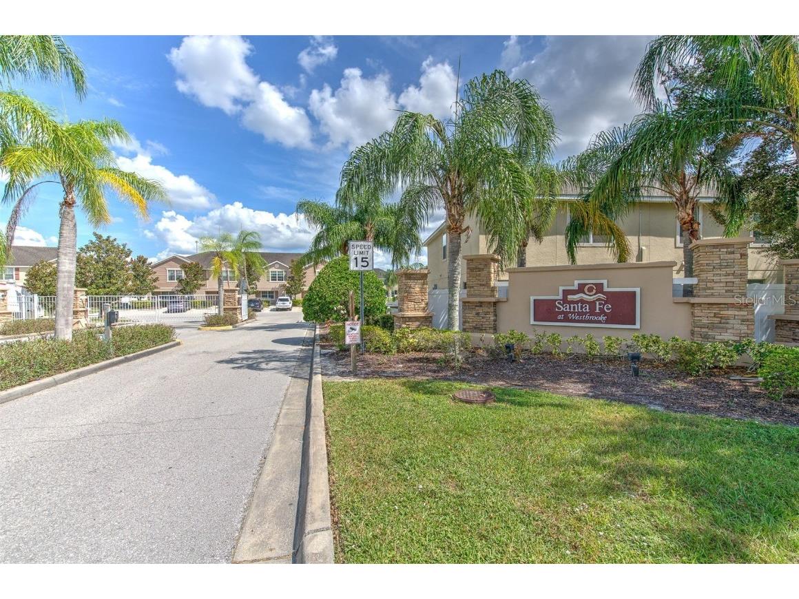 27528 Desert Willow Way Wesley Chapel FL 33544 TB8422696 image22