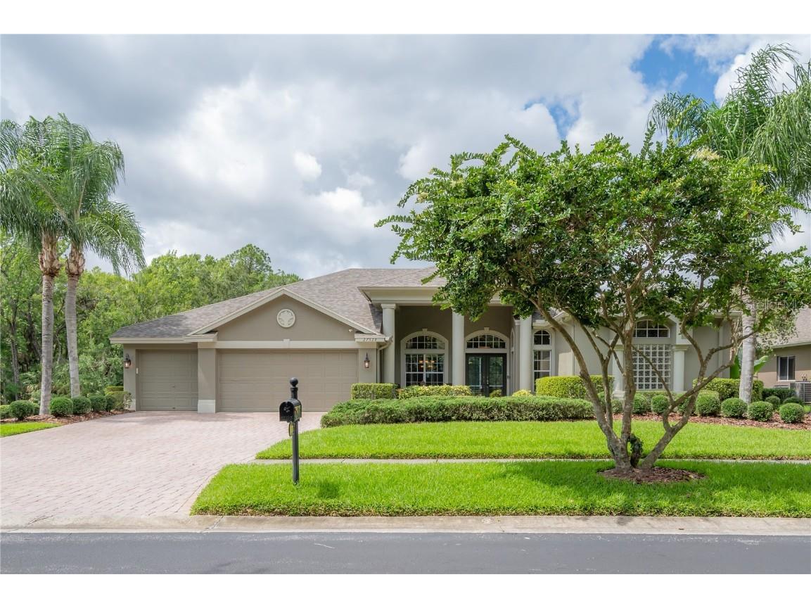 27528 Water Ash Drive Wesley Chapel FL 33544 T3449125 image1
