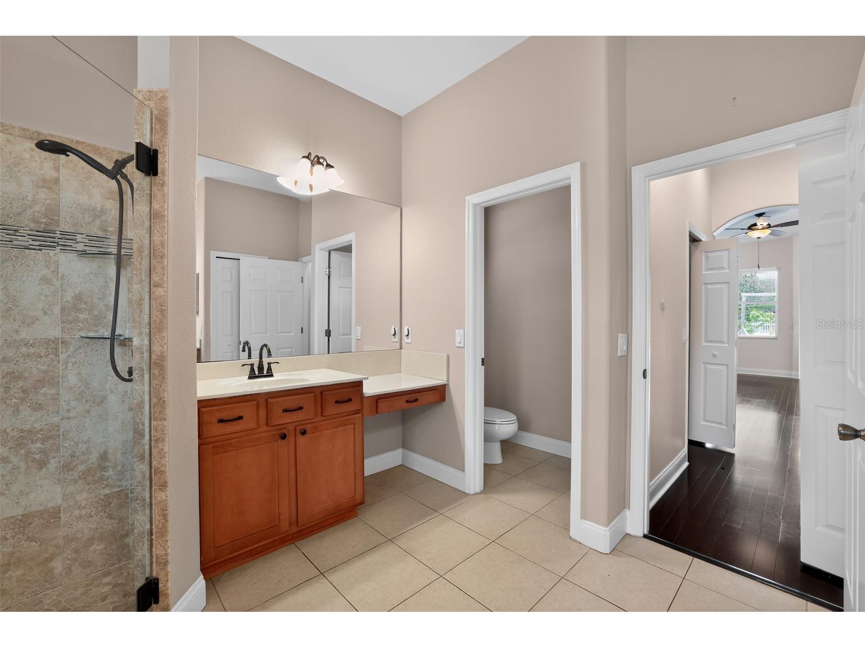 2753 Blueslate Court Land O Lakes FL 34638 TB8516999 image19