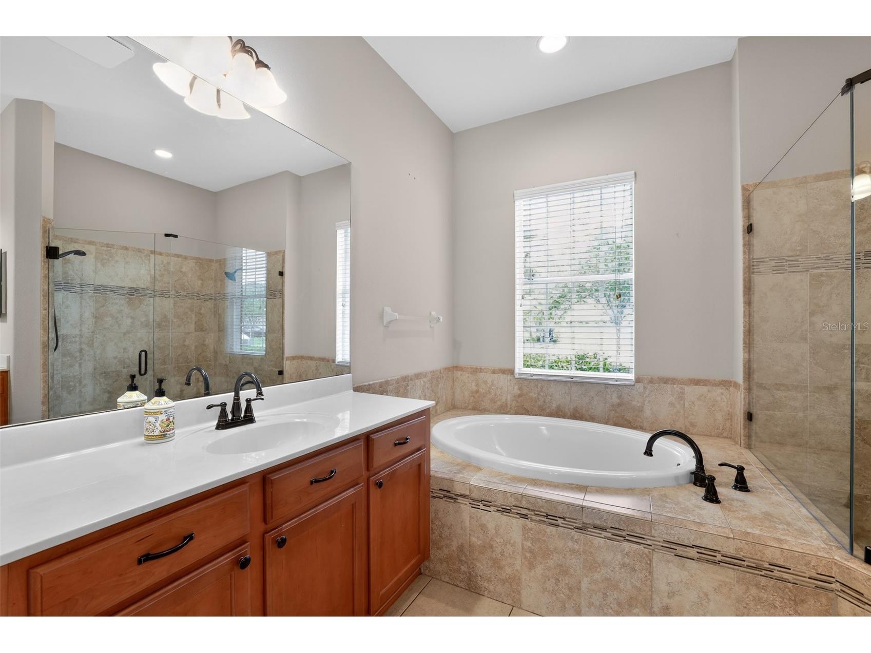 2753 Blueslate Court Land O Lakes FL 34638 TB8516999 image20