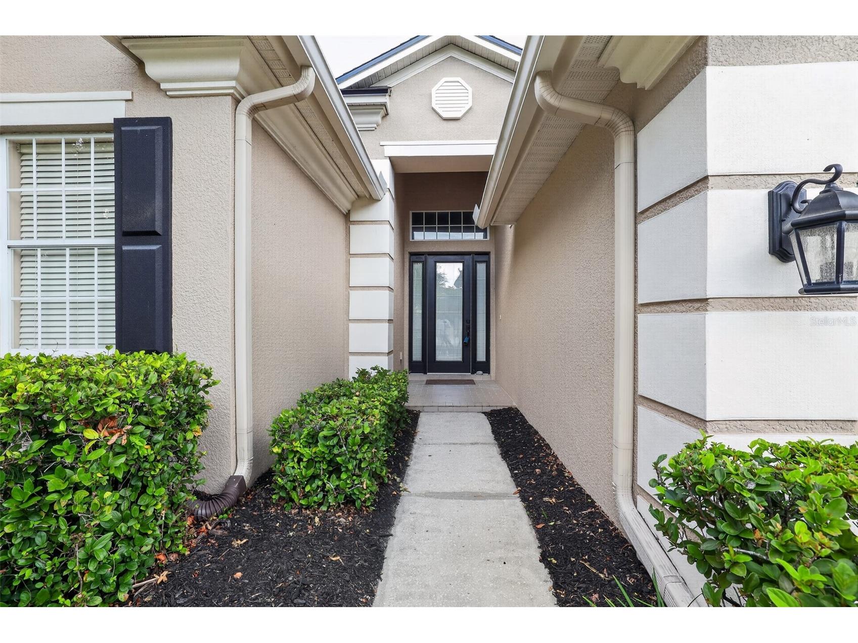 2753 Blueslate Court Land O Lakes FL 34638 TB8516999 image5