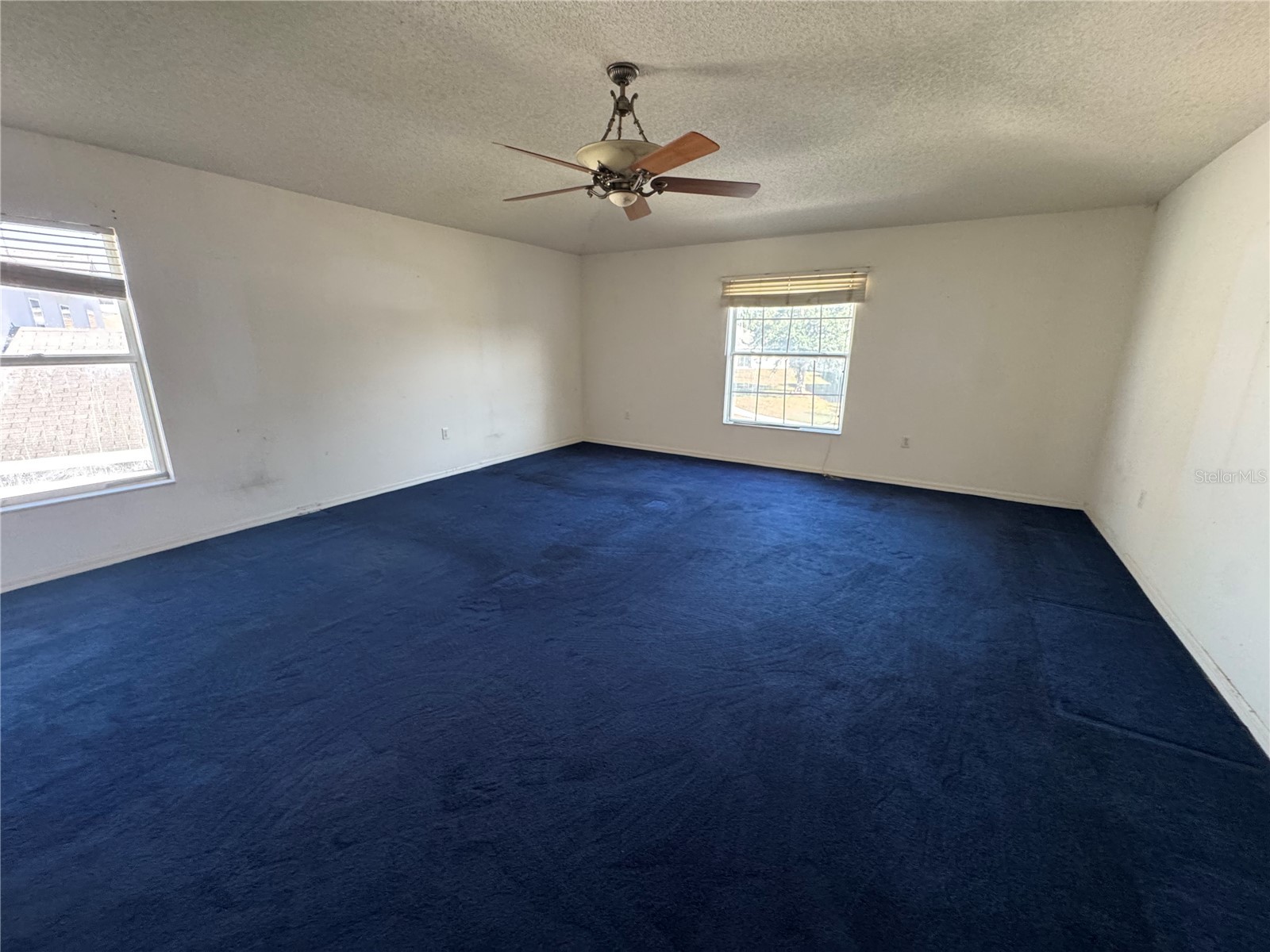 2753 Heathgate Way Land O Lakes FL 34638 TB8447622 image14