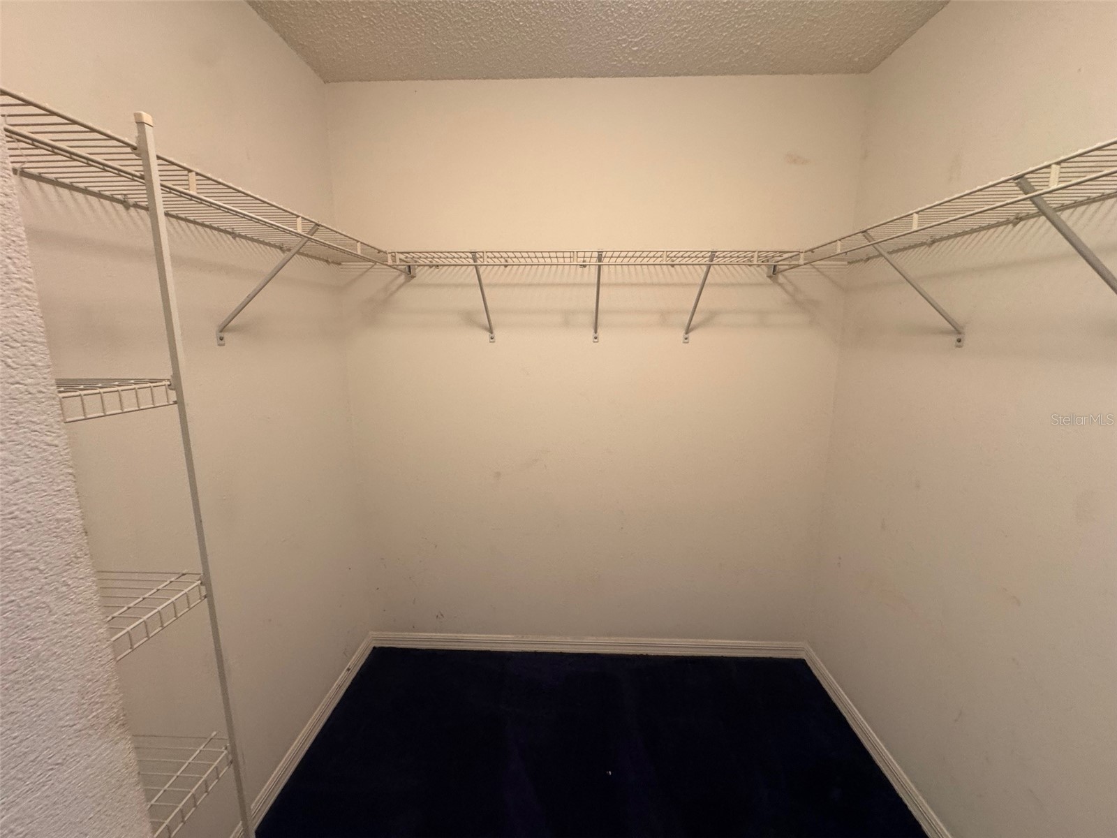 2753 Heathgate Way Land O Lakes FL 34638 TB8447622 image16