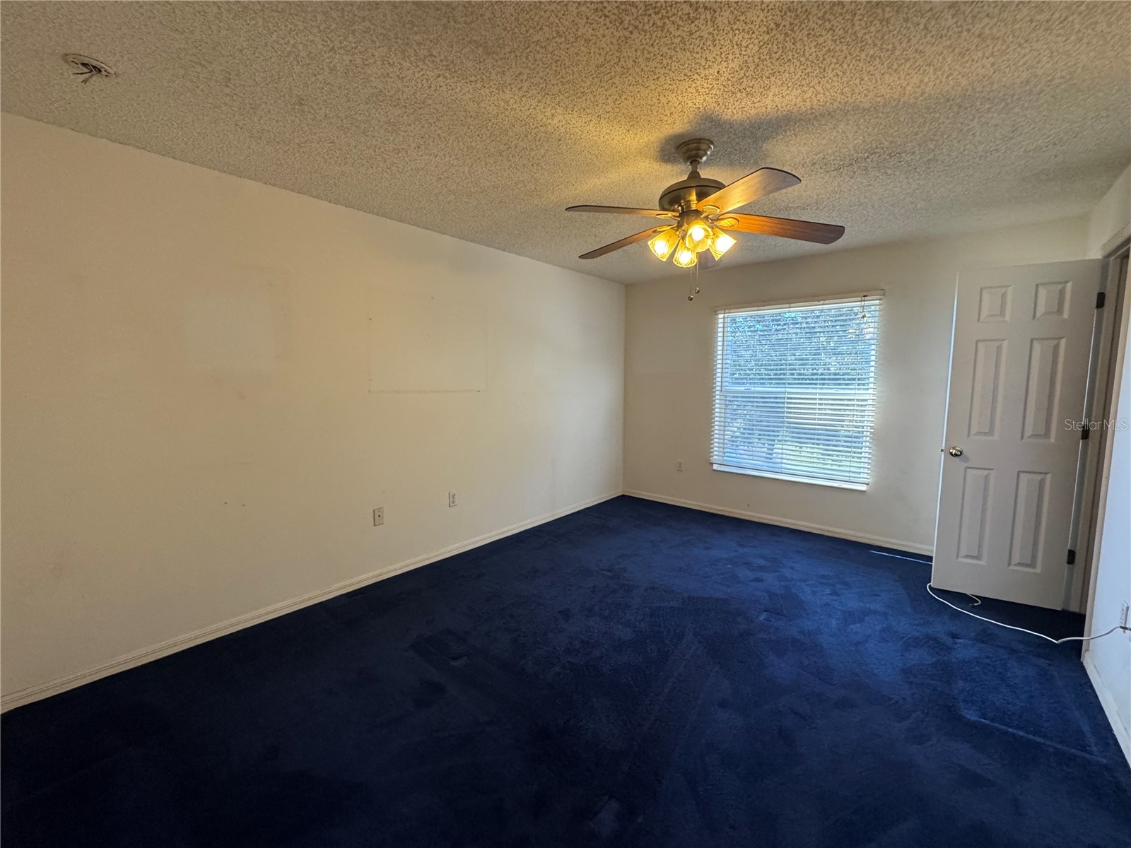 2753 Heathgate Way Land O Lakes FL 34638 TB8447622 image21