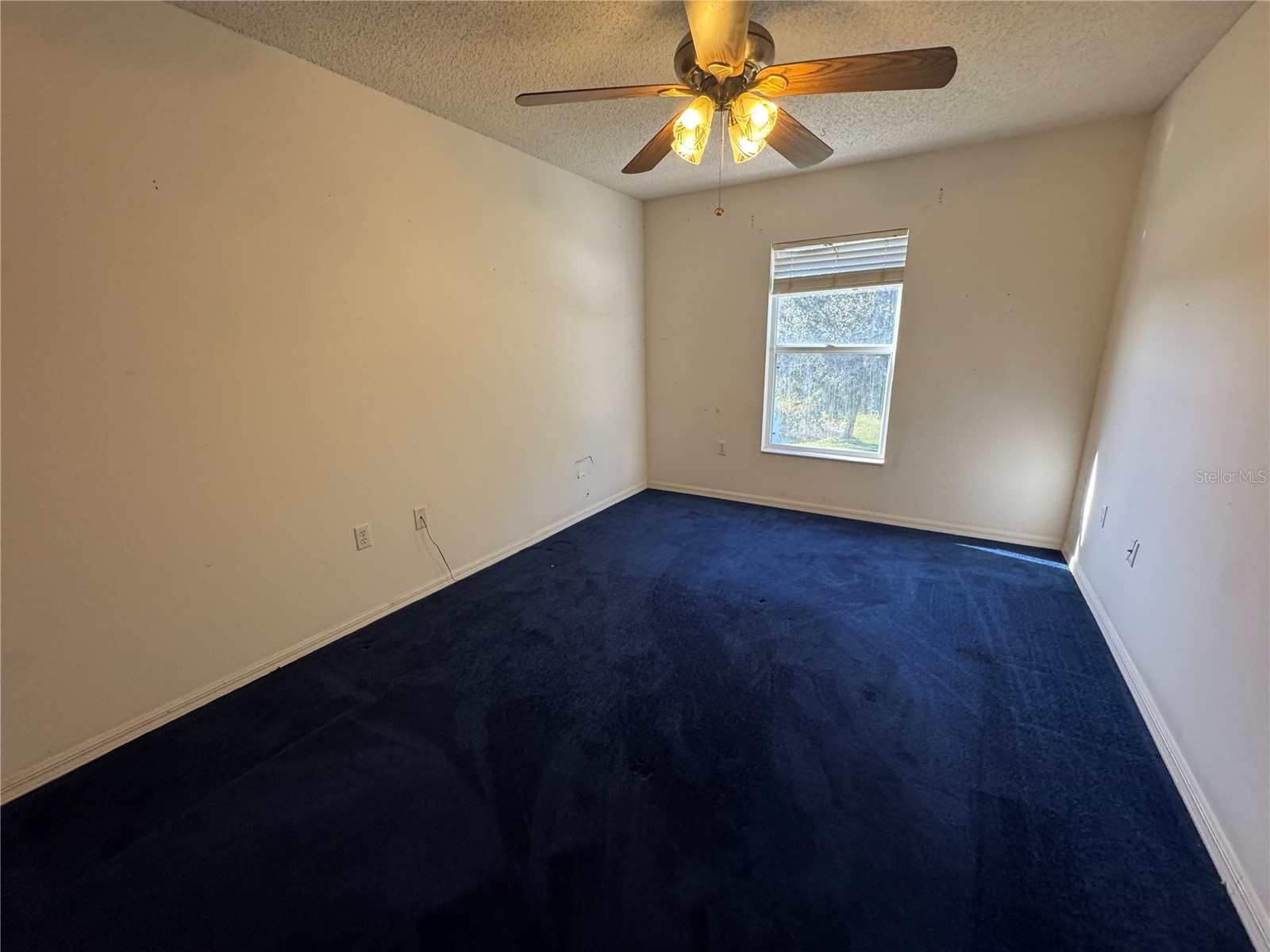 2753 Heathgate Way Land O Lakes FL 34638 TB8447622 image24