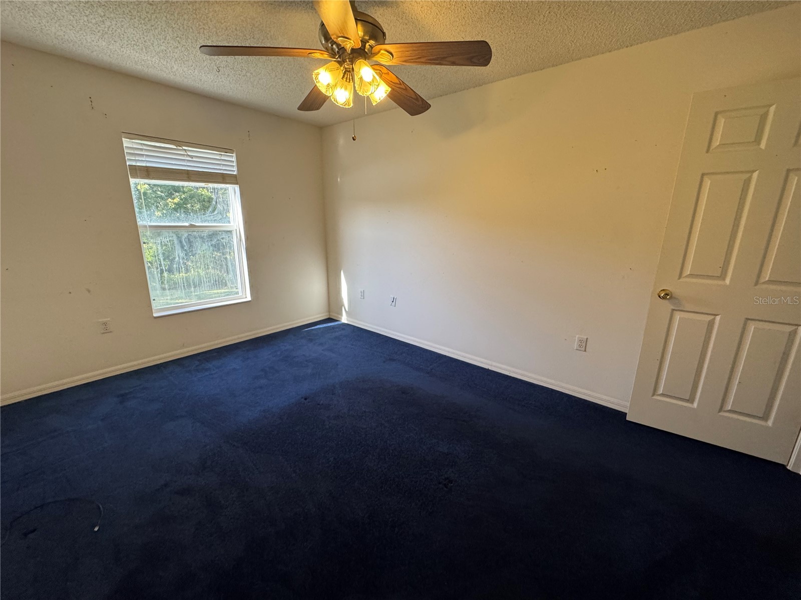 2753 Heathgate Way Land O Lakes FL 34638 TB8447622 image25