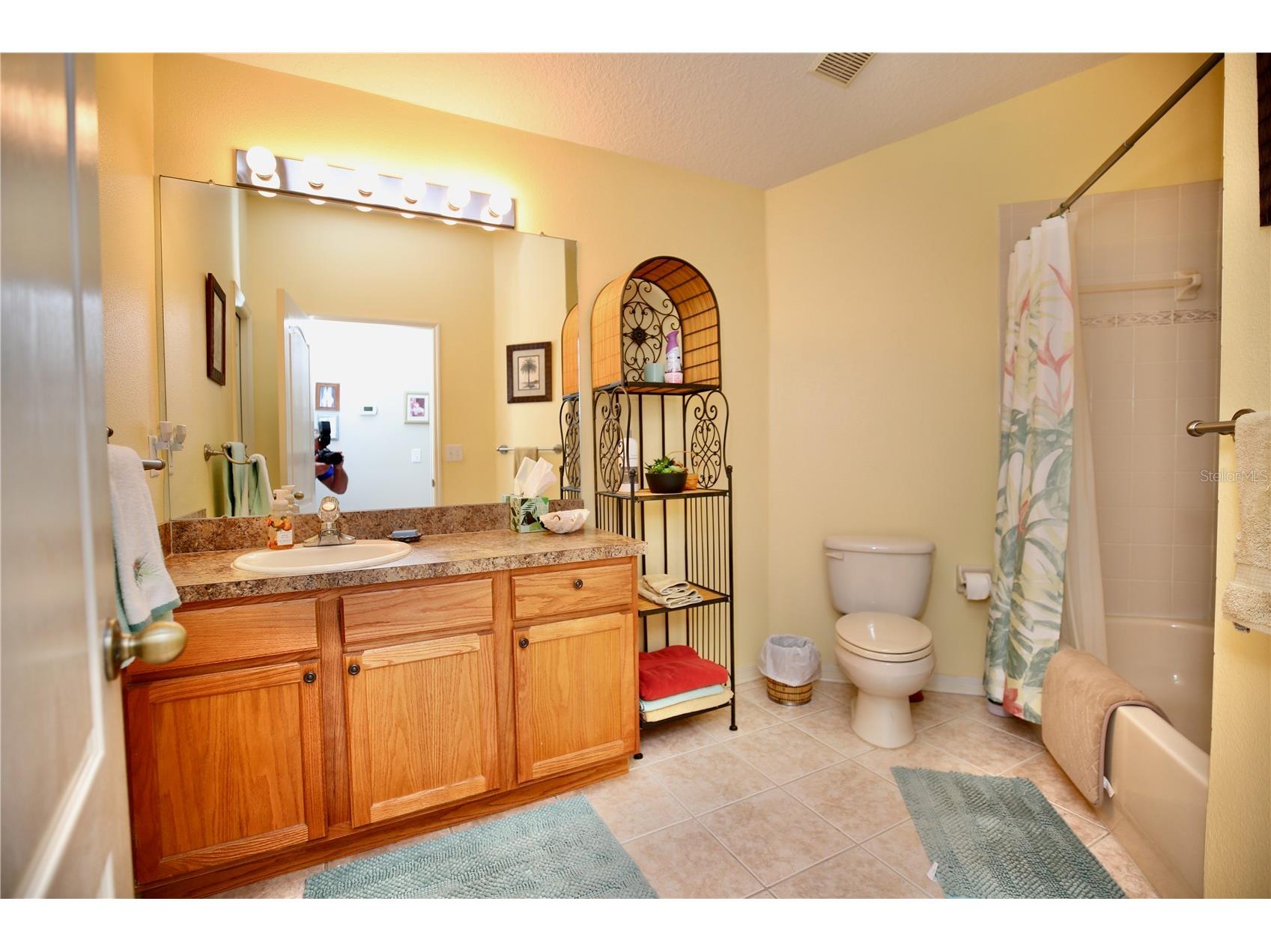 2753 Tanglewylde Drive Land O Lakes FL 34638 TB8486784 image34