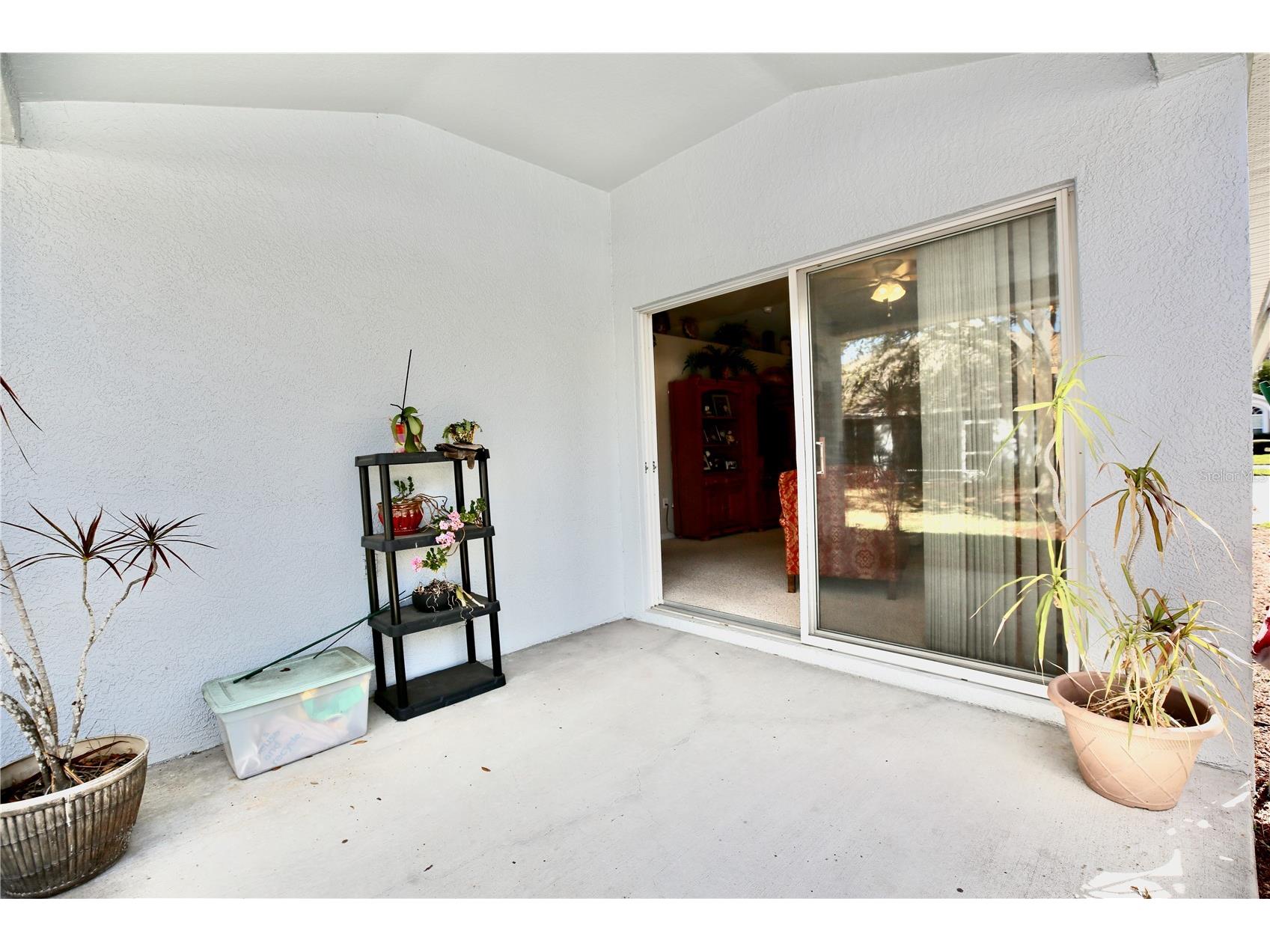 2753 Tanglewylde Drive Land O Lakes FL 34638 TB8486784 image36