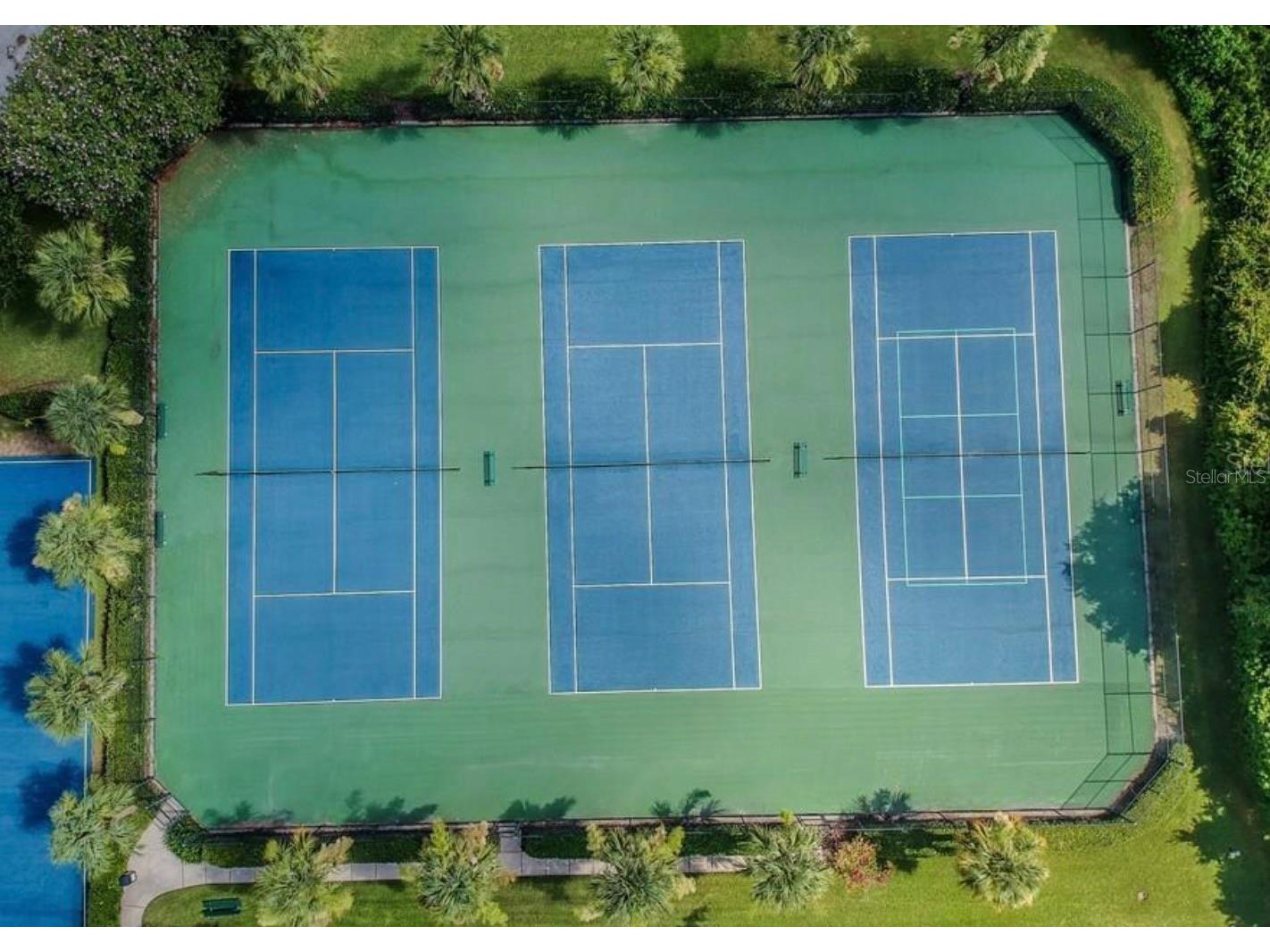 2753 Tanglewylde Drive Land O Lakes FL 34638 TB8486784 image39